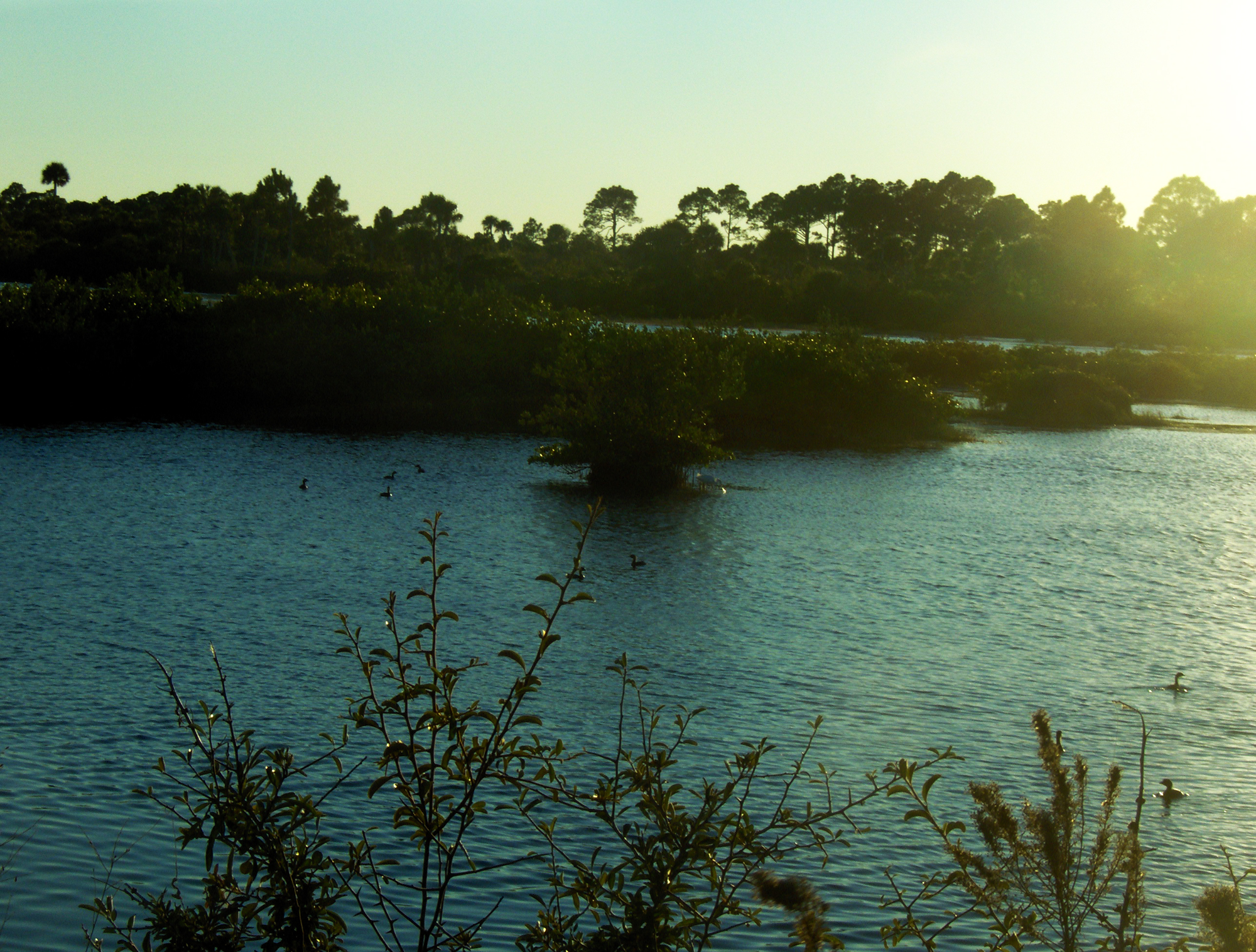 Baixe gratuitamente a imagem Lago, Terra/natureza na área de trabalho do seu PC