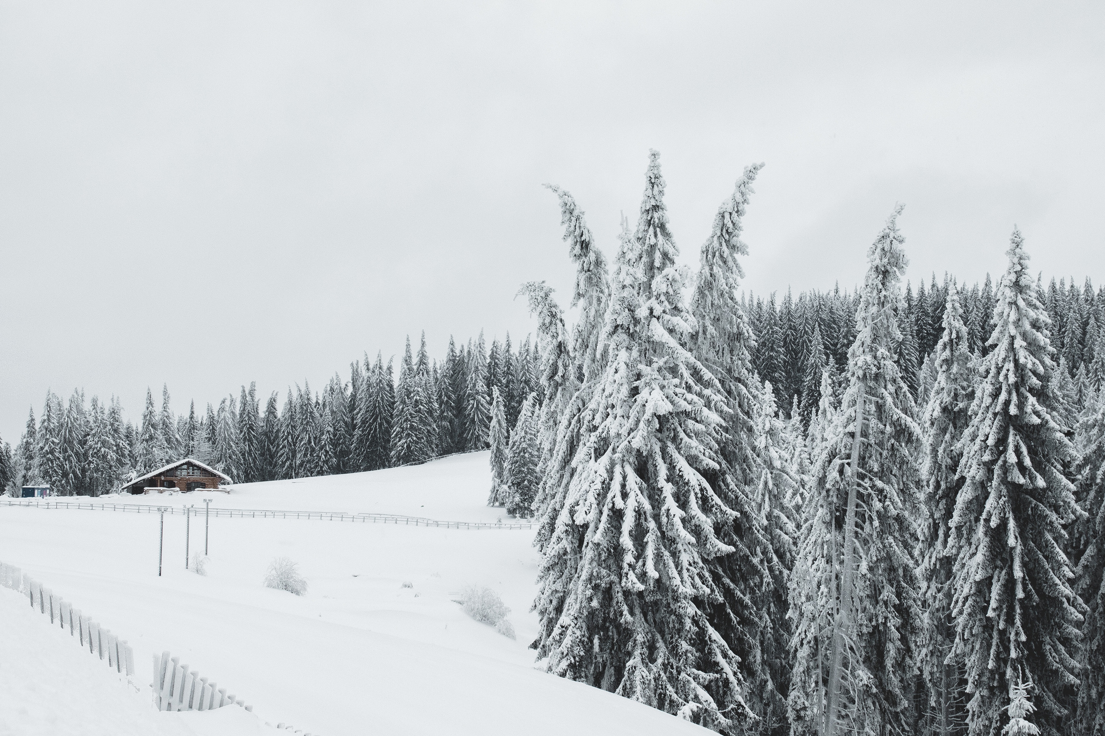 Handy-Wallpaper Winter, Schnee, Wald, Zaun, Hütte, Fotografie kostenlos herunterladen.