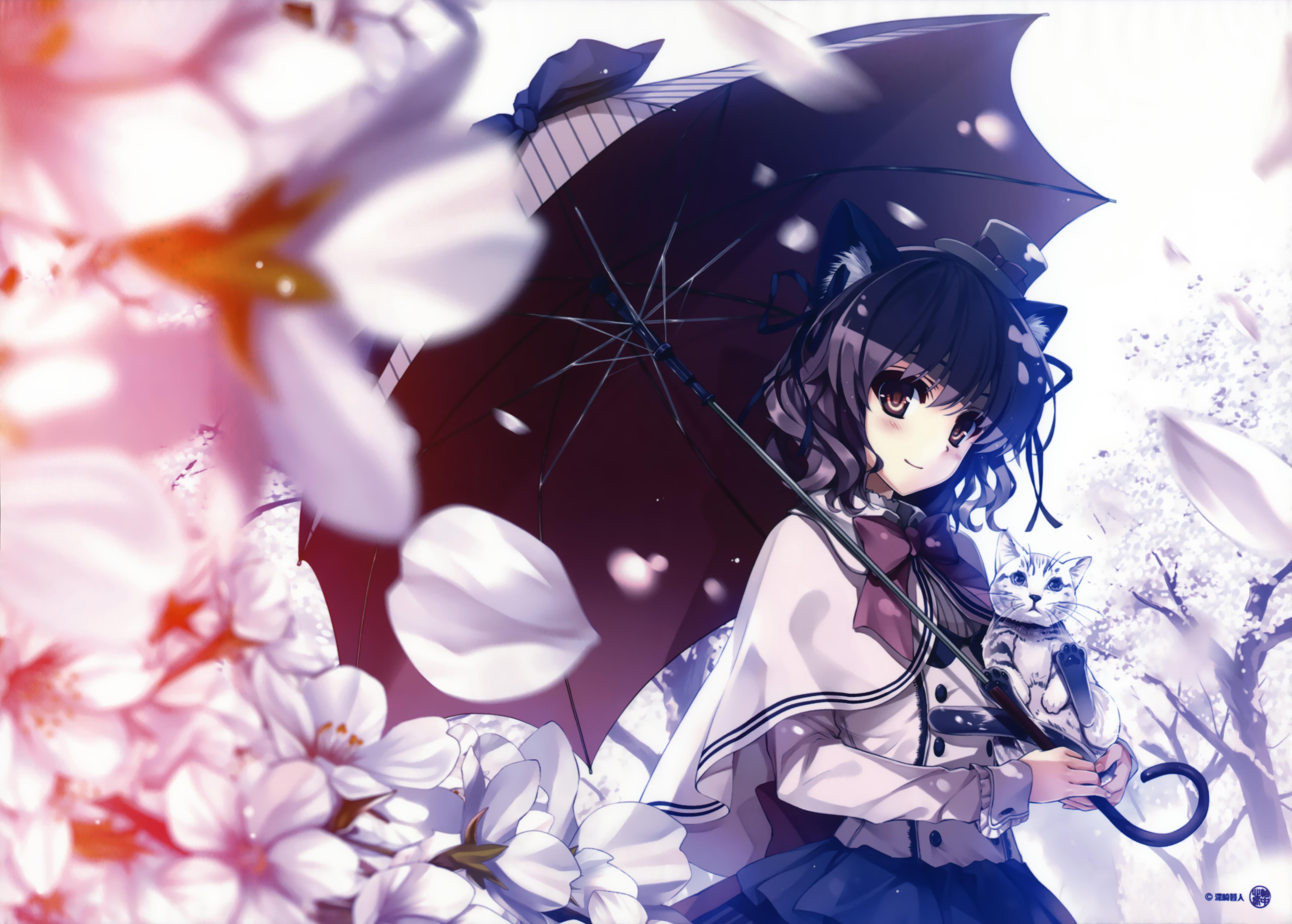 Free download wallpaper Anime, Flower, Cat, Umbrella, Original, Blush, Purple Eyes, Purple Hair, Bow (Clothing) on your PC desktop
