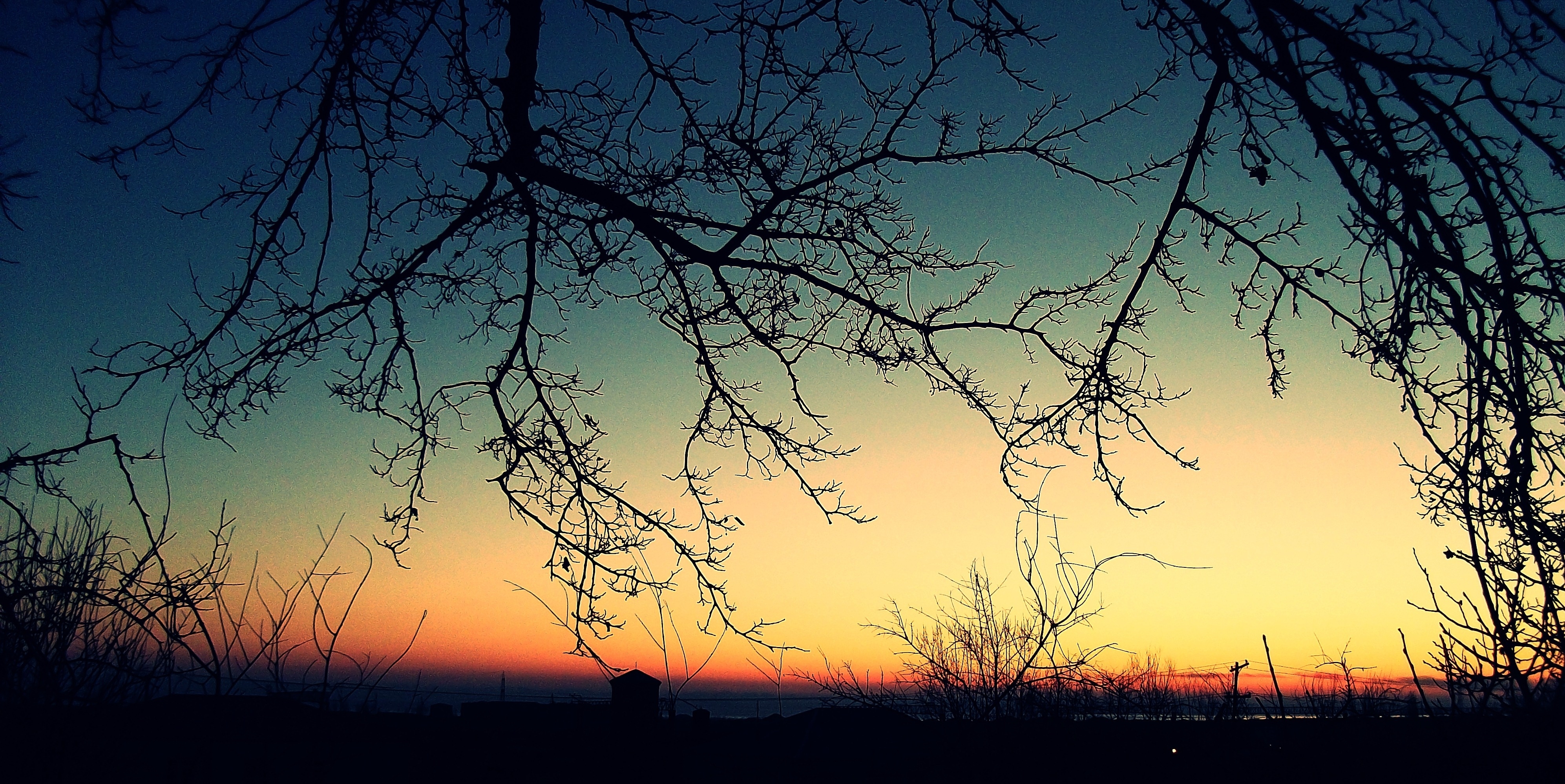 Download mobile wallpaper Branches, Evening, Branch, Sunset, Nature for free.