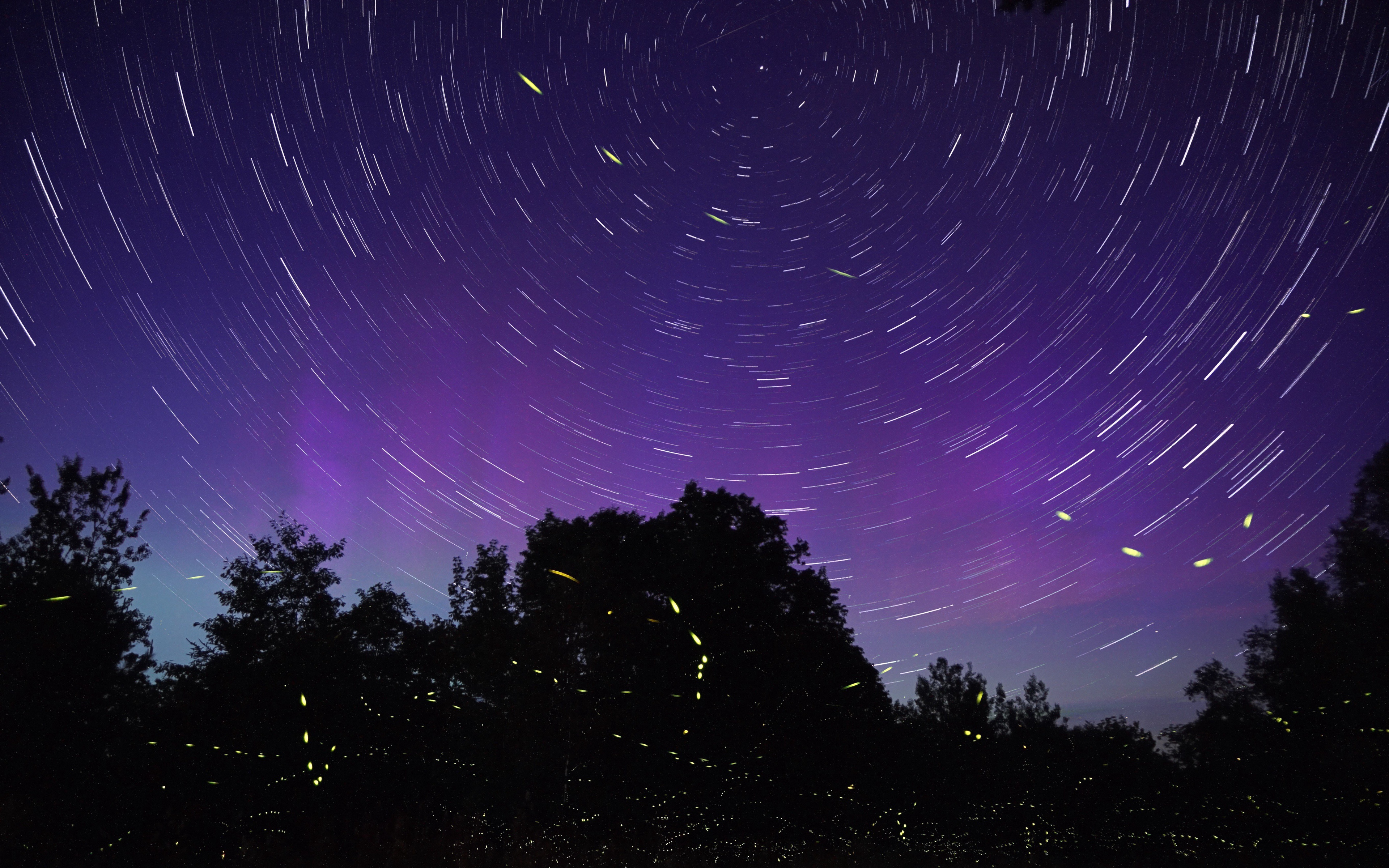 earth, star trail, night, starry sky, time lapse