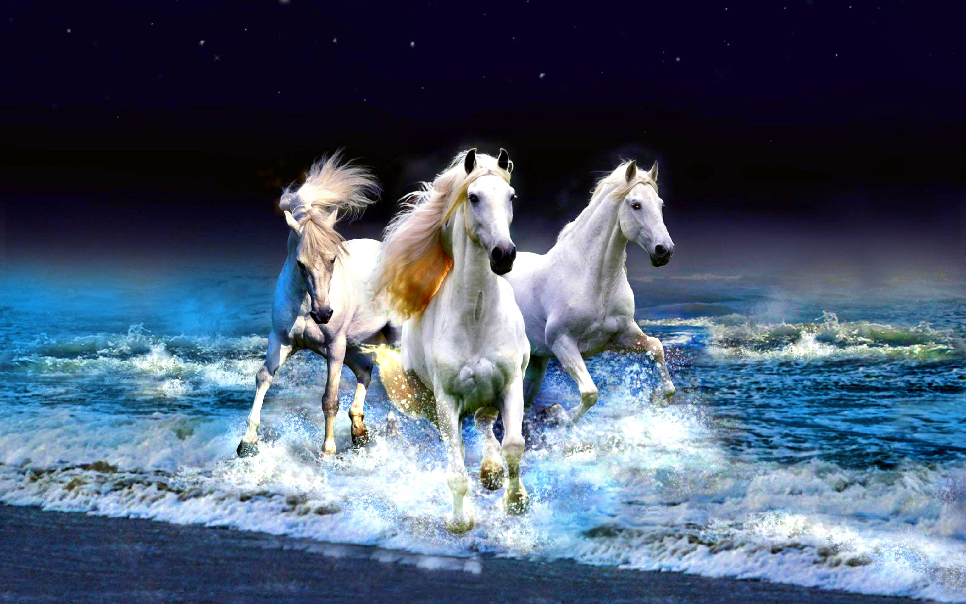 554815画像をダウンロード海, 動物, 馬, ビーチ, 地平線-壁紙とスクリーンセーバーを無料で