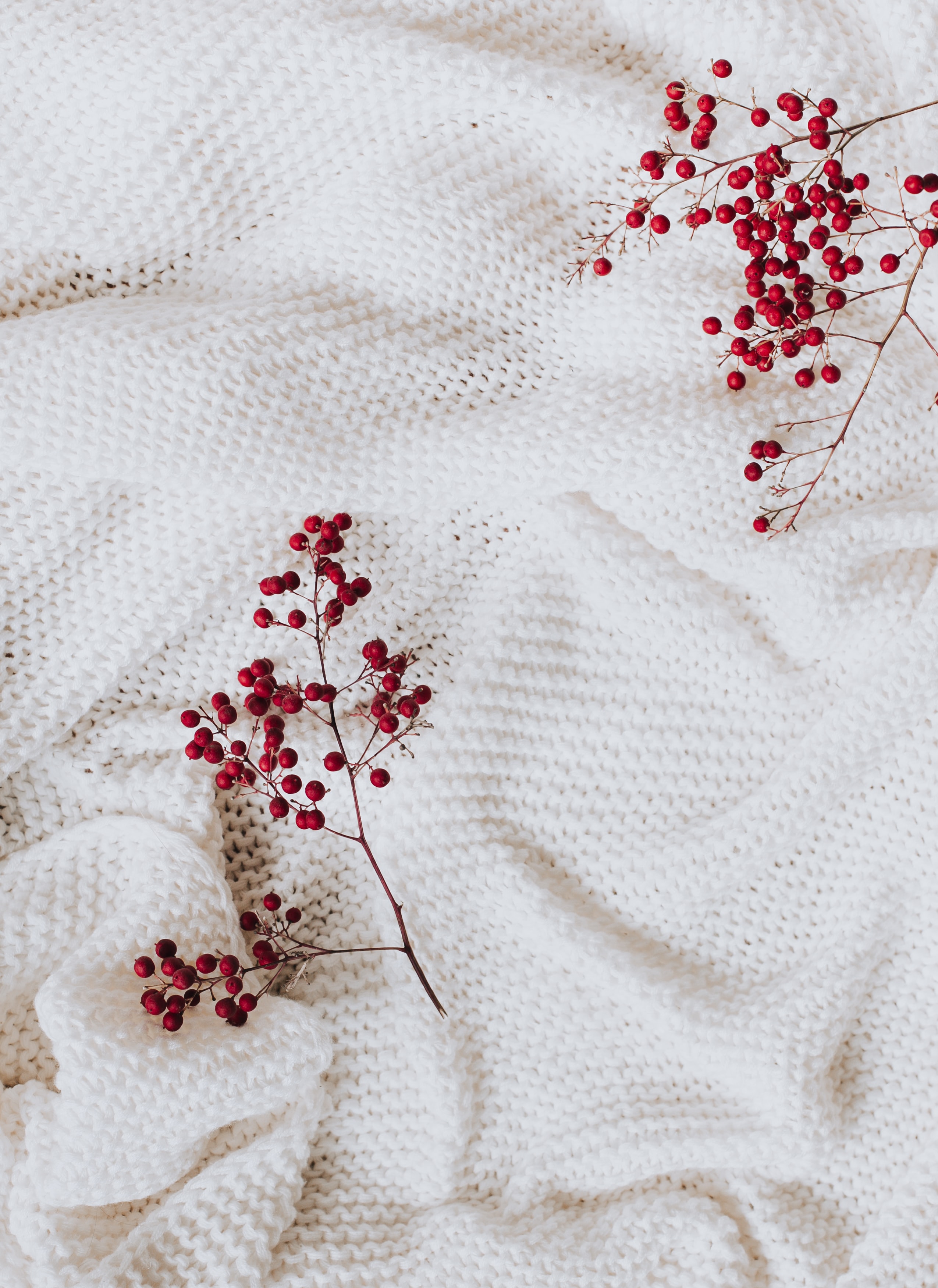 Free download wallpaper Miscellanea, Branches, Cloth, Berry, Miscellaneous on your PC desktop