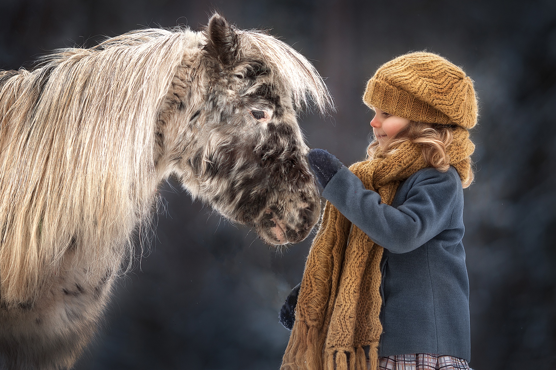 Laden Sie das Winter, Kind, Hut, Fotografie, Schal, Hauspferd, Kleines Mädchen-Bild kostenlos auf Ihren PC-Desktop herunter