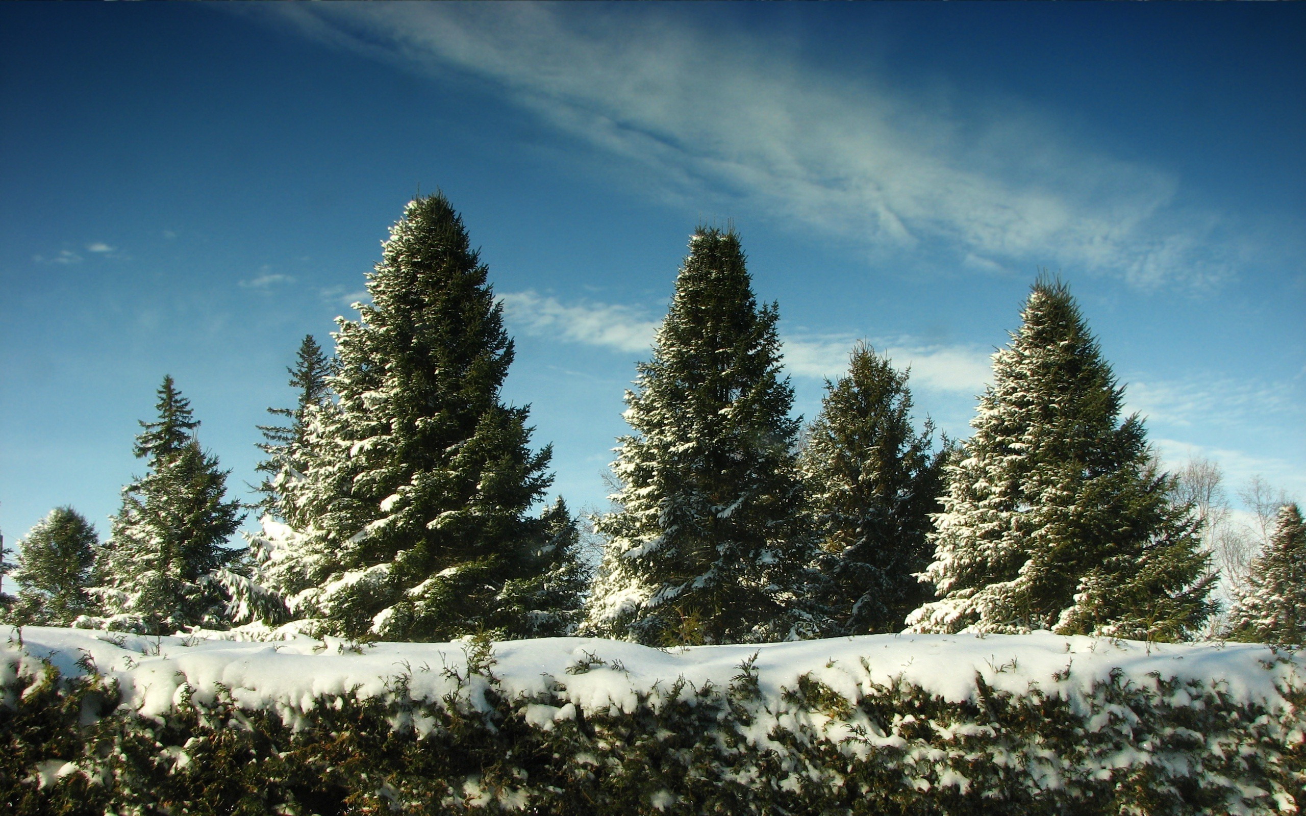 Handy-Wallpaper Winter, Erde/natur kostenlos herunterladen.