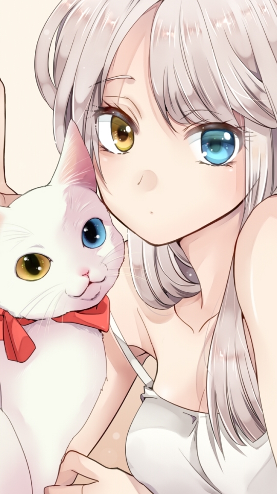 Handy-Wallpaper Katze, Heterochromie, Original, Animes, Lange Haare, Weißes Haar kostenlos herunterladen.