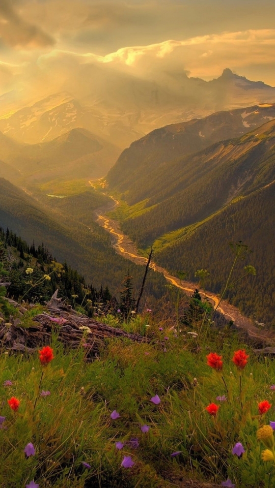 Descarga gratuita de fondo de pantalla para móvil de Montañas, Monte Rainier, Tierra/naturaleza.