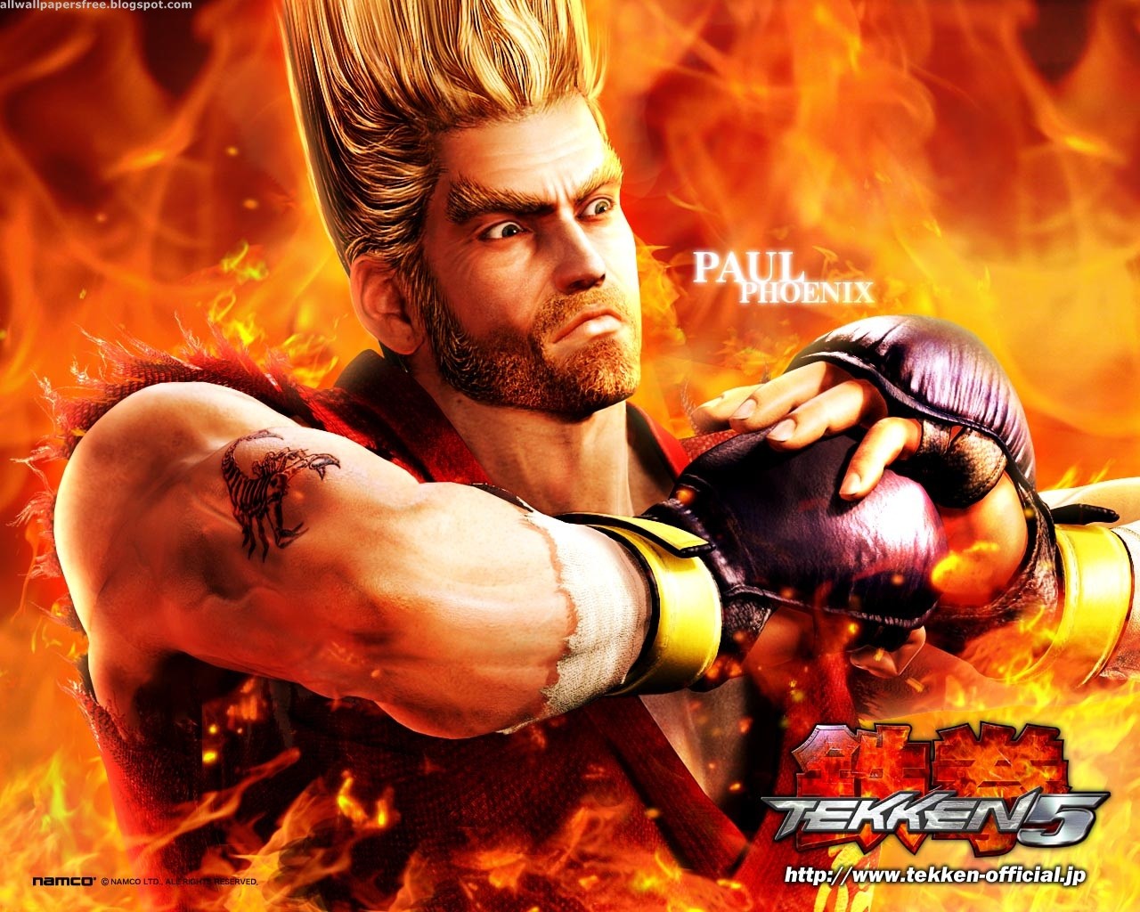 Популярні заставки і фони Tekken 5 на комп'ютер