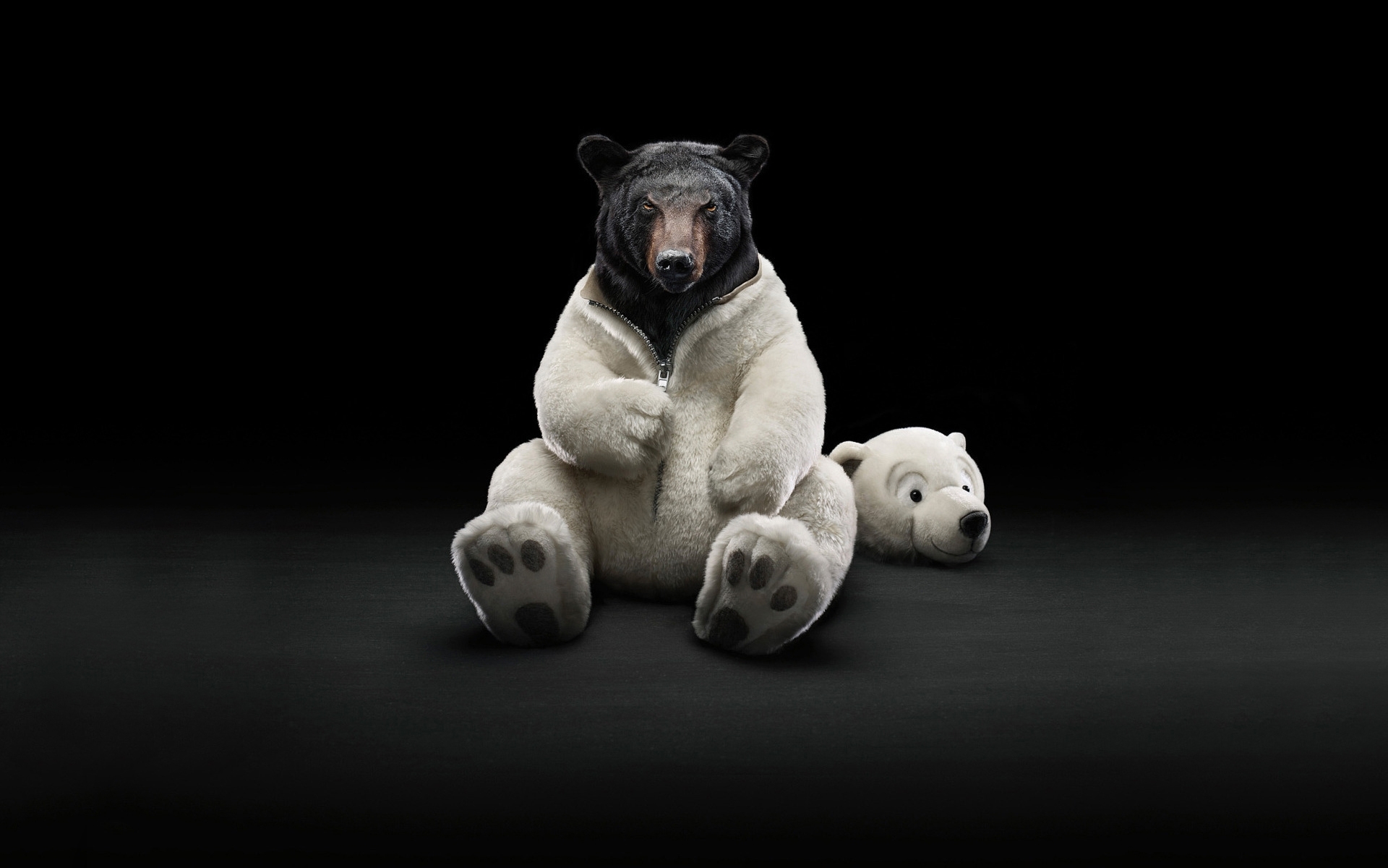 Laden Sie das Tiere, Bären-Bild kostenlos auf Ihren PC-Desktop herunter
