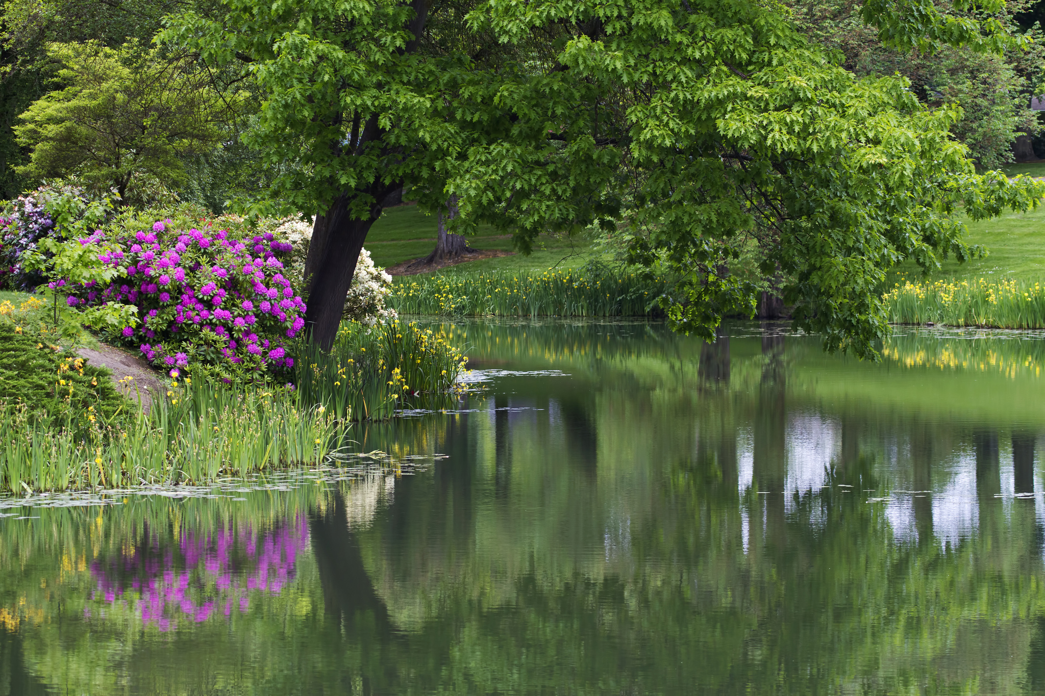 Download mobile wallpaper Garden, Lakes, Water, Park, Lake, Photography, Tree, Flower, Reflection, Landscape for free.