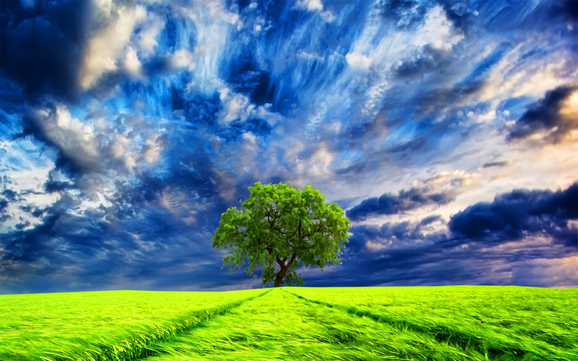 green, trees, field, earth, tree, cloud, lonely tree, sky