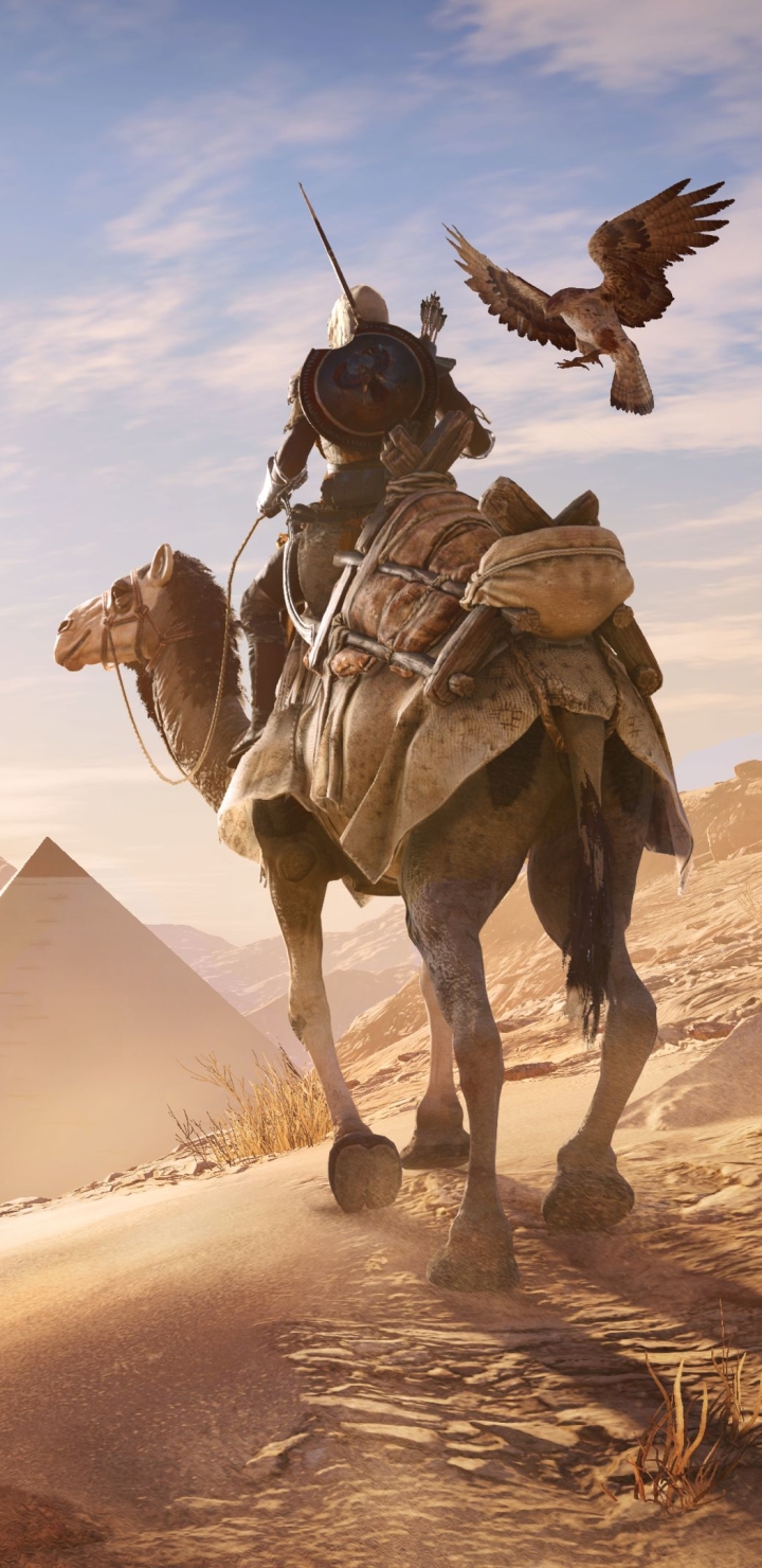 Baixar papel de parede para celular de Águia, Camelo, Videogame, Assassin's Creed, Assassin's Creed: Origins, Senu (Assassin's Creed), Bayek De Siwa gratuito.