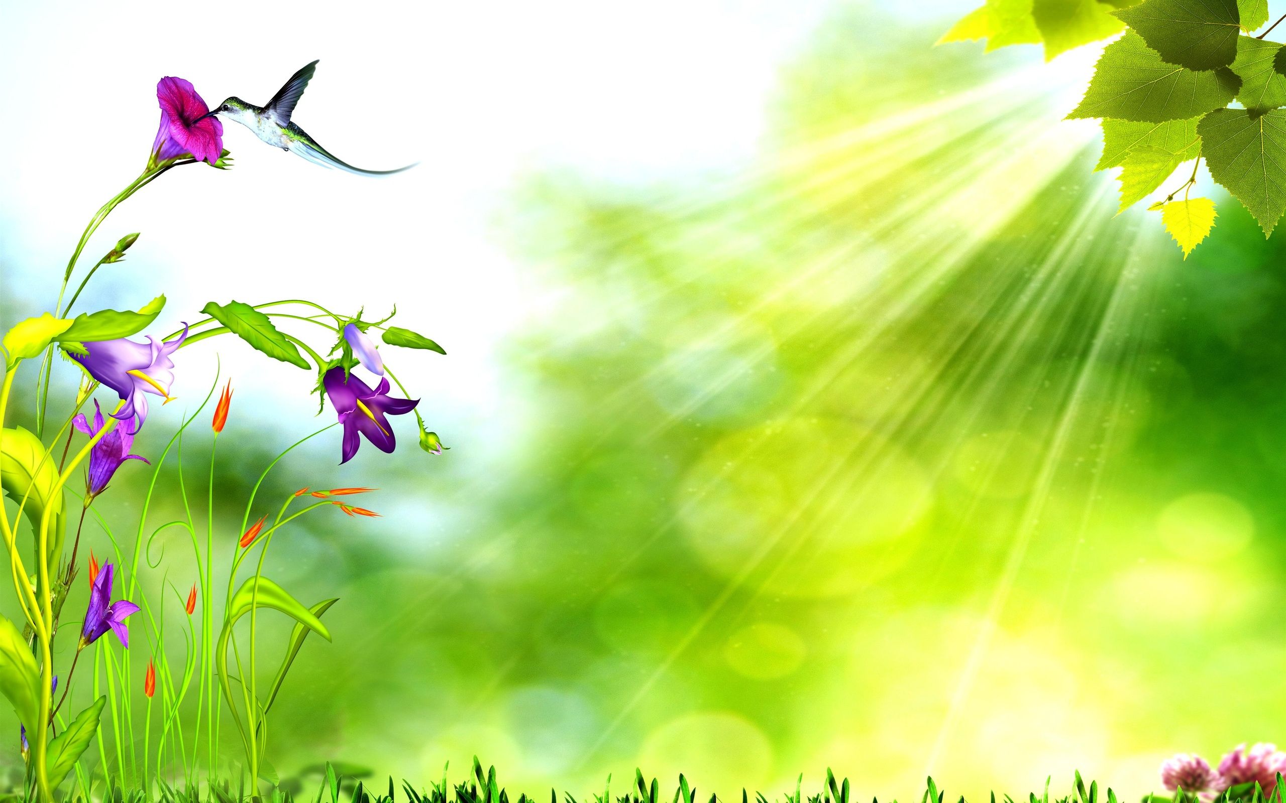 Free download wallpaper Flower, Leaf, Spring, Artistic, Sunshine, Hummingbird on your PC desktop