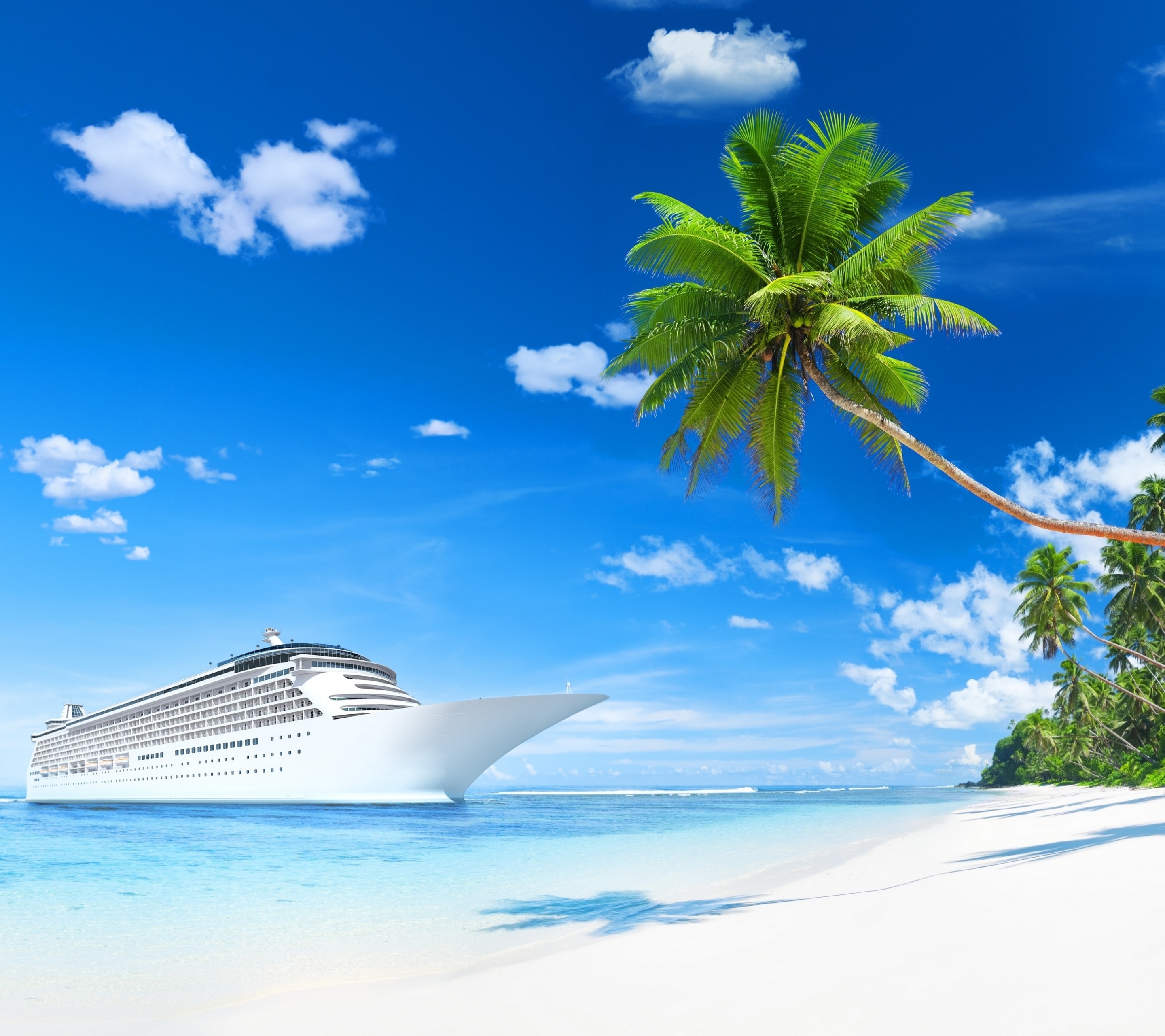 PCデスクトップにビーチ, 熱帯, クルーズ船, 乗り物, ヤシの木画像を無料でダウンロード