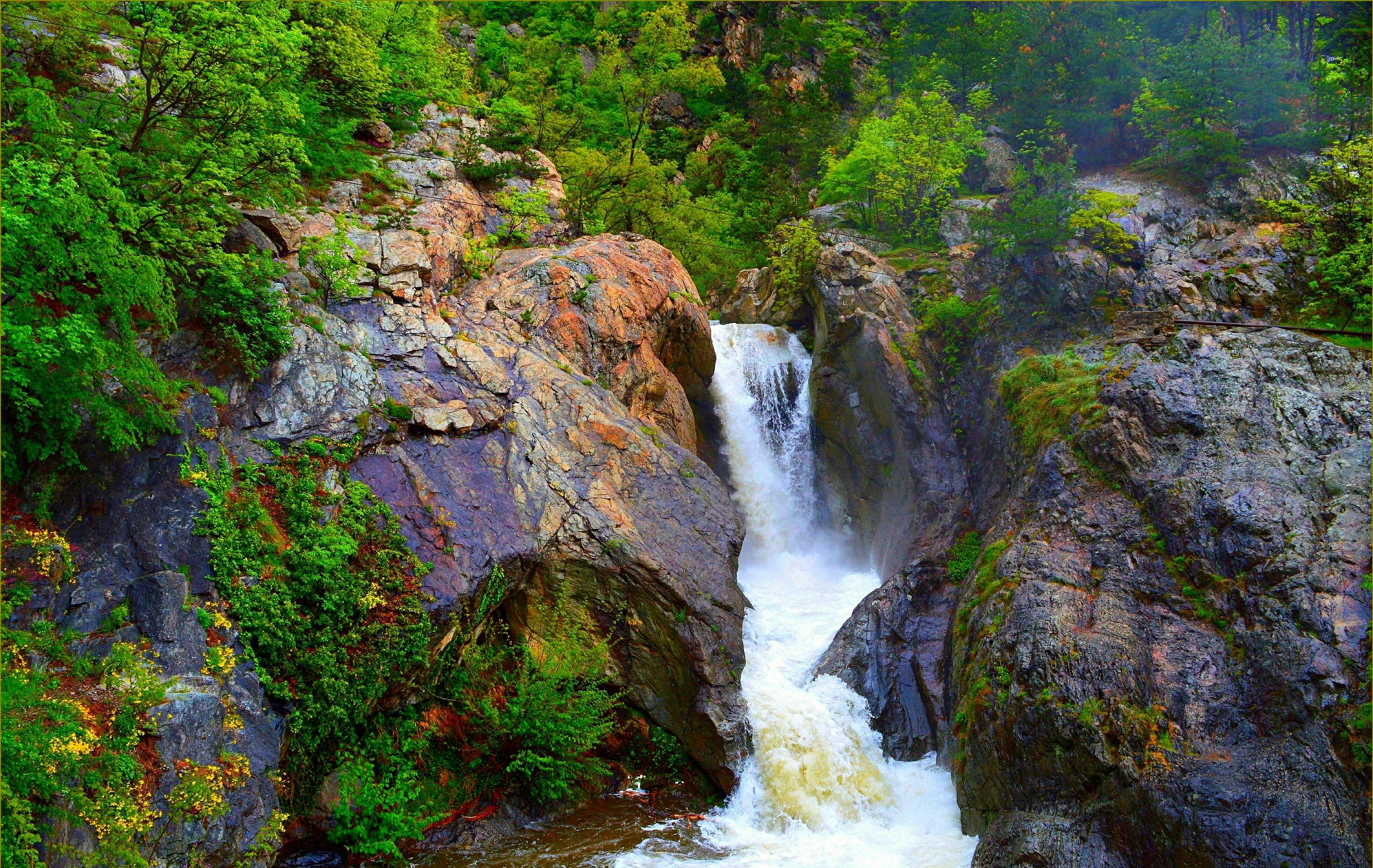 Скачать картинку Водопады, Водопад, Лес, Зеленый, Земля/природа в телефон бесплатно.