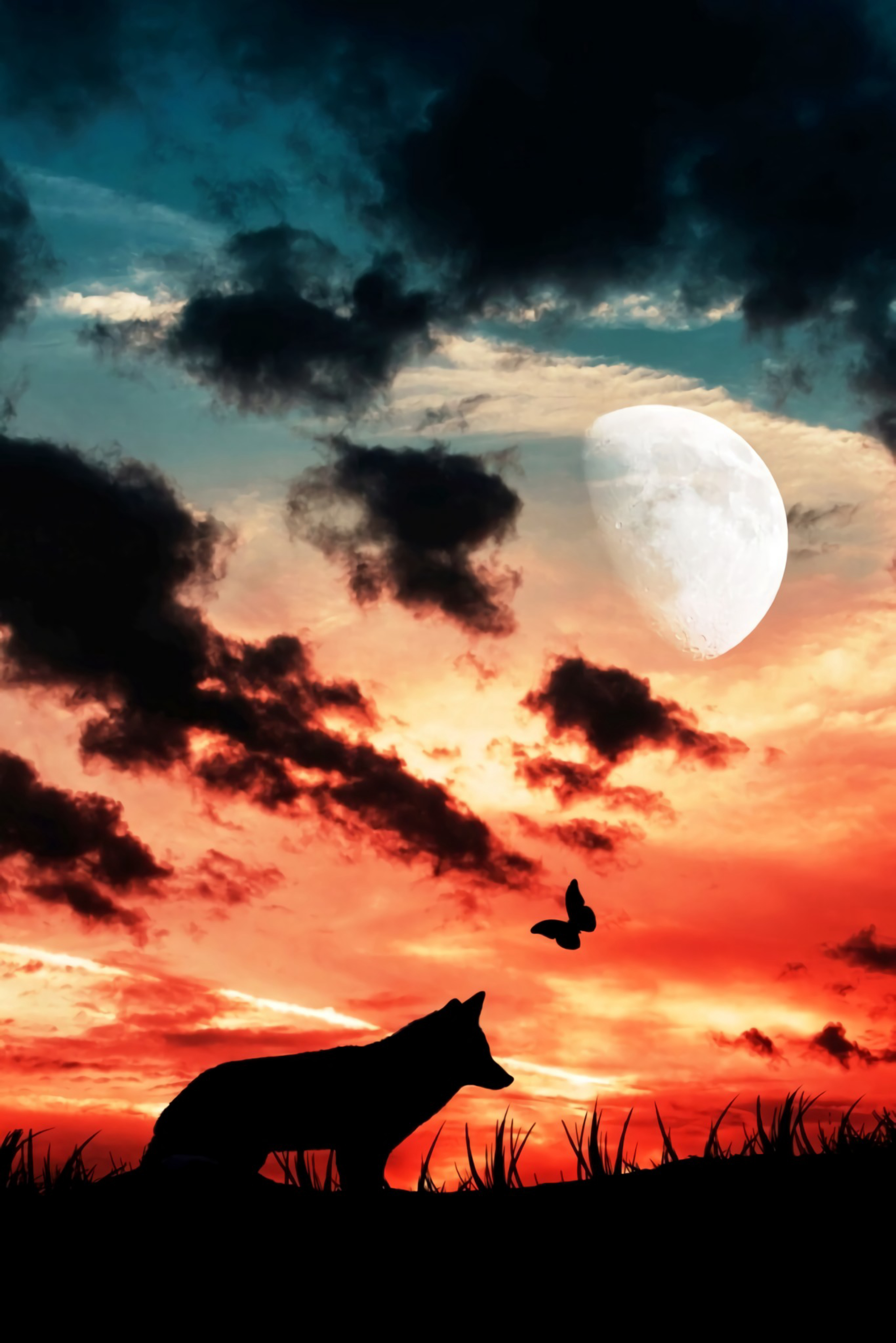 Laden Sie das Silhouette, Schmetterling, Clouds, Mond, Dunkel, Wolf-Bild kostenlos auf Ihren PC-Desktop herunter