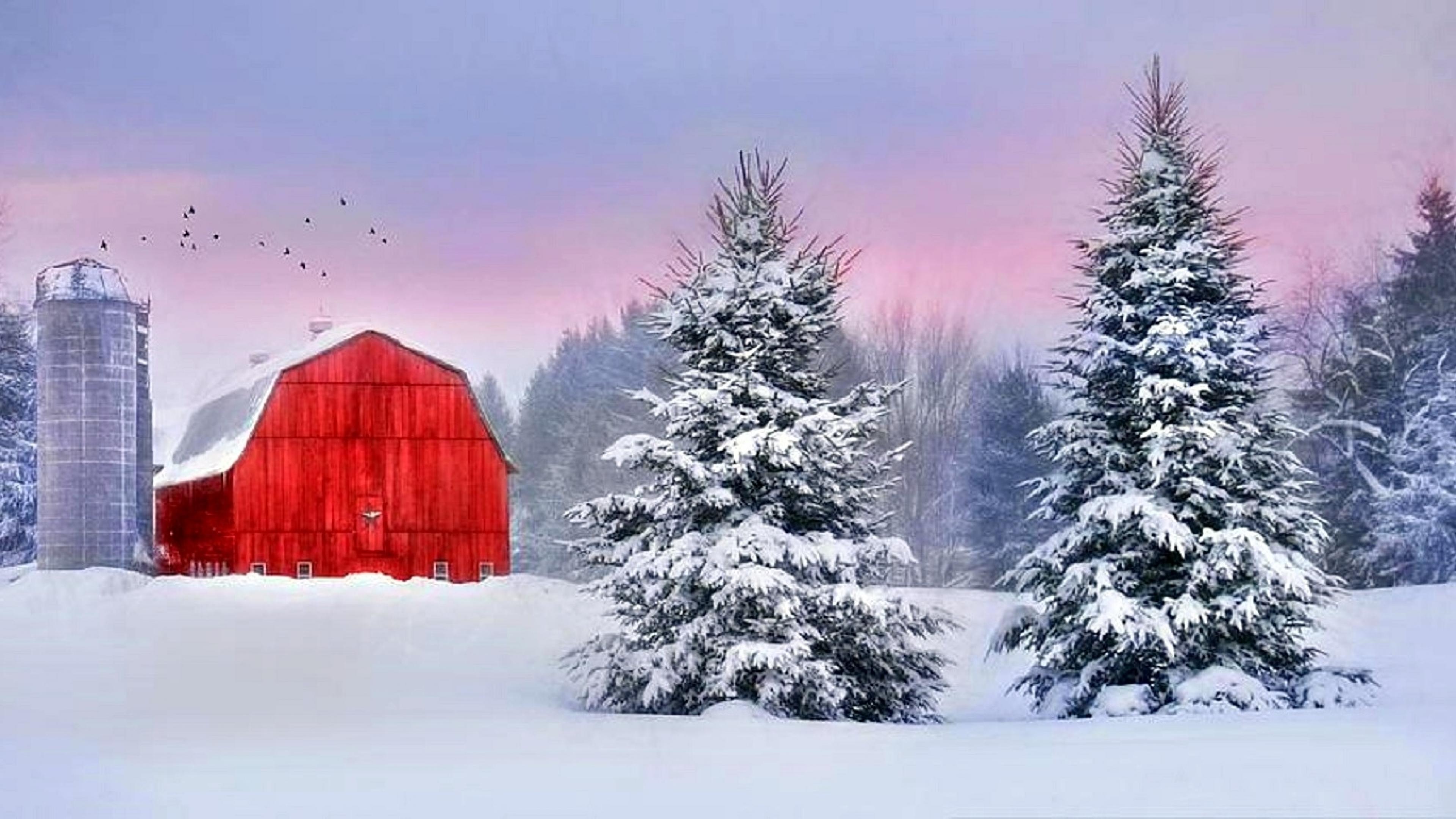 Скачать картинку Зима, Снег, Красный, Дерево, Земля, Поле, Фотографии, Сарай в телефон бесплатно.