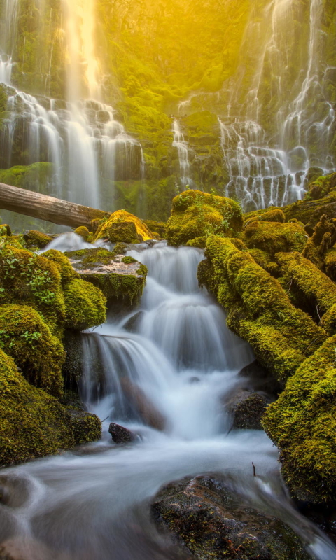 Скачати мобільні шпалери Природа, Водоспади, Водоспад, Земля, Мох, Потік безкоштовно.