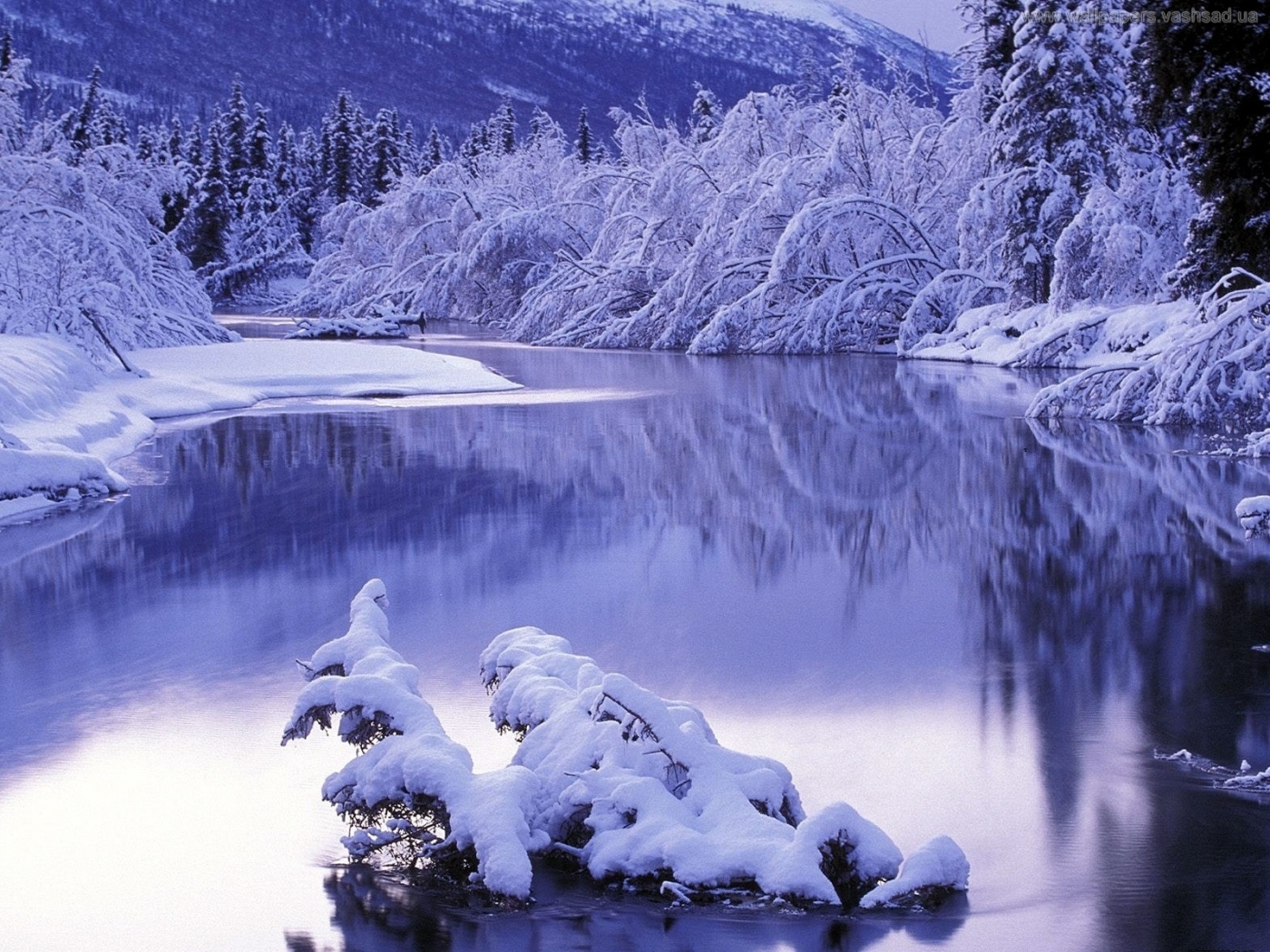Download mobile wallpaper Rivers, Snow, Trees, Landscape for free.