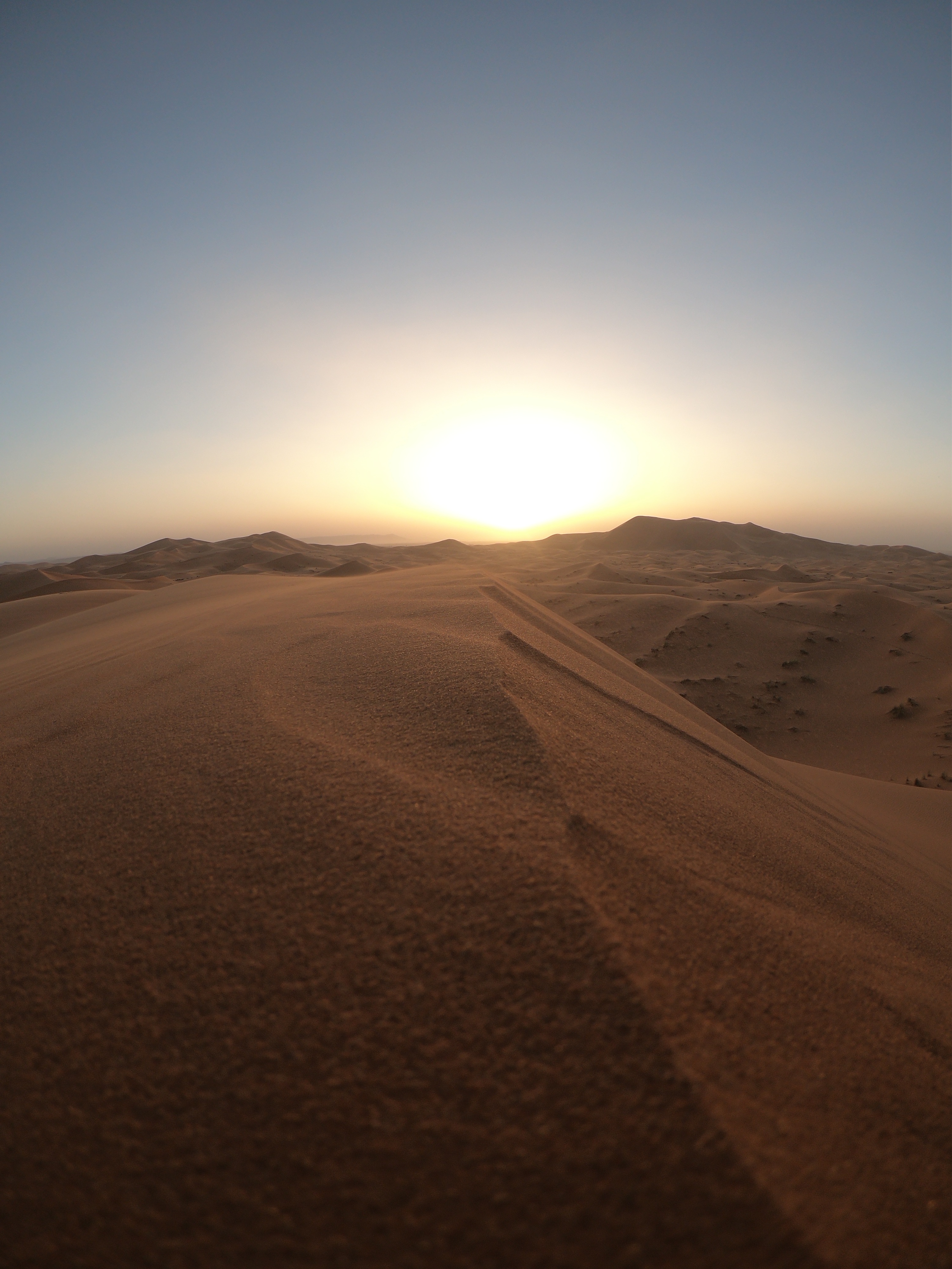 155609 завантажити картинку пустеля, природа, захід, пісок, дика природа, дикої природи, дюни, посилання - шпалери і заставки безкоштовно