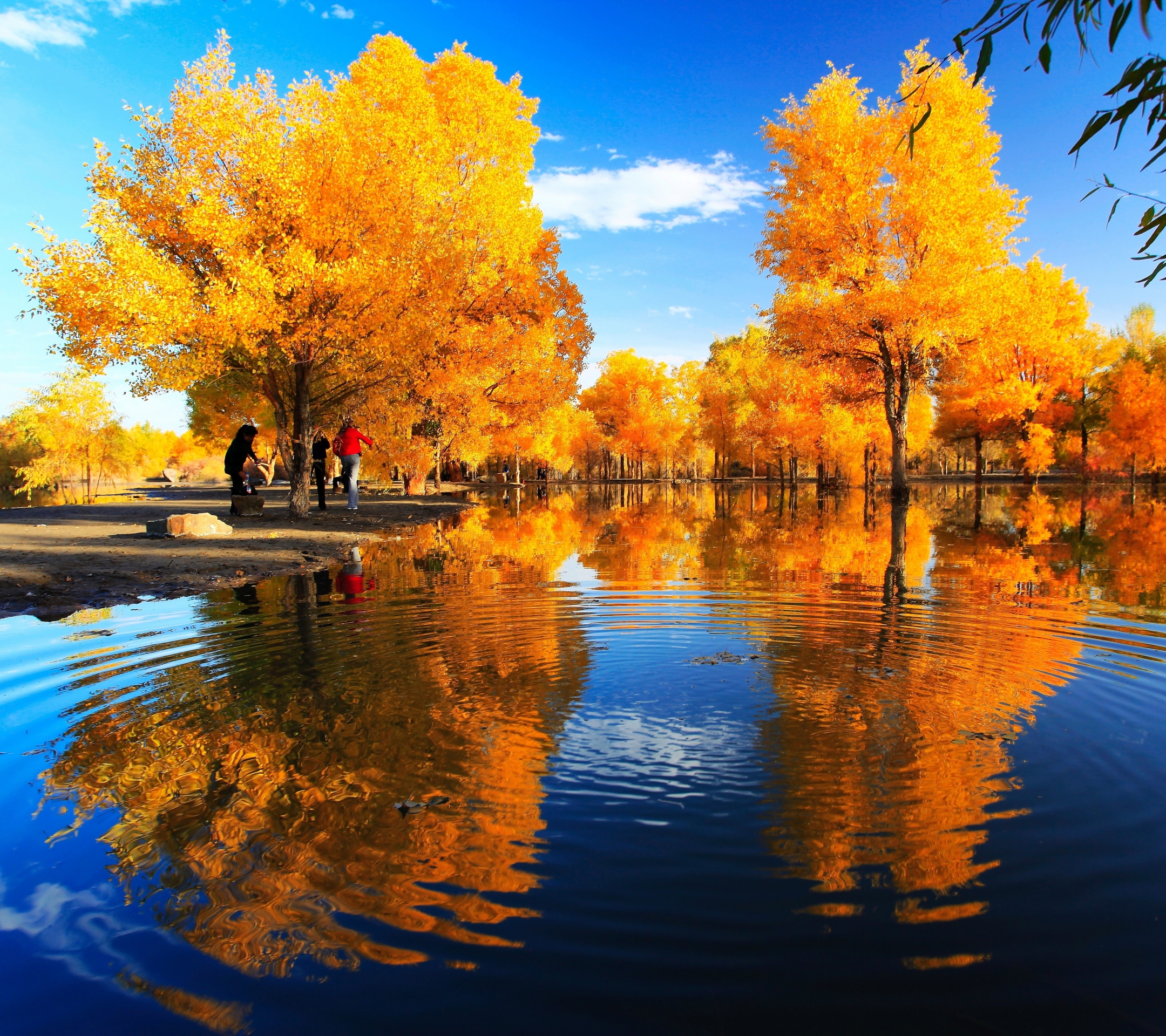 PCデスクトップに風景, 木, 秋, 反射, 公園, 中国, 写真撮影画像を無料でダウンロード