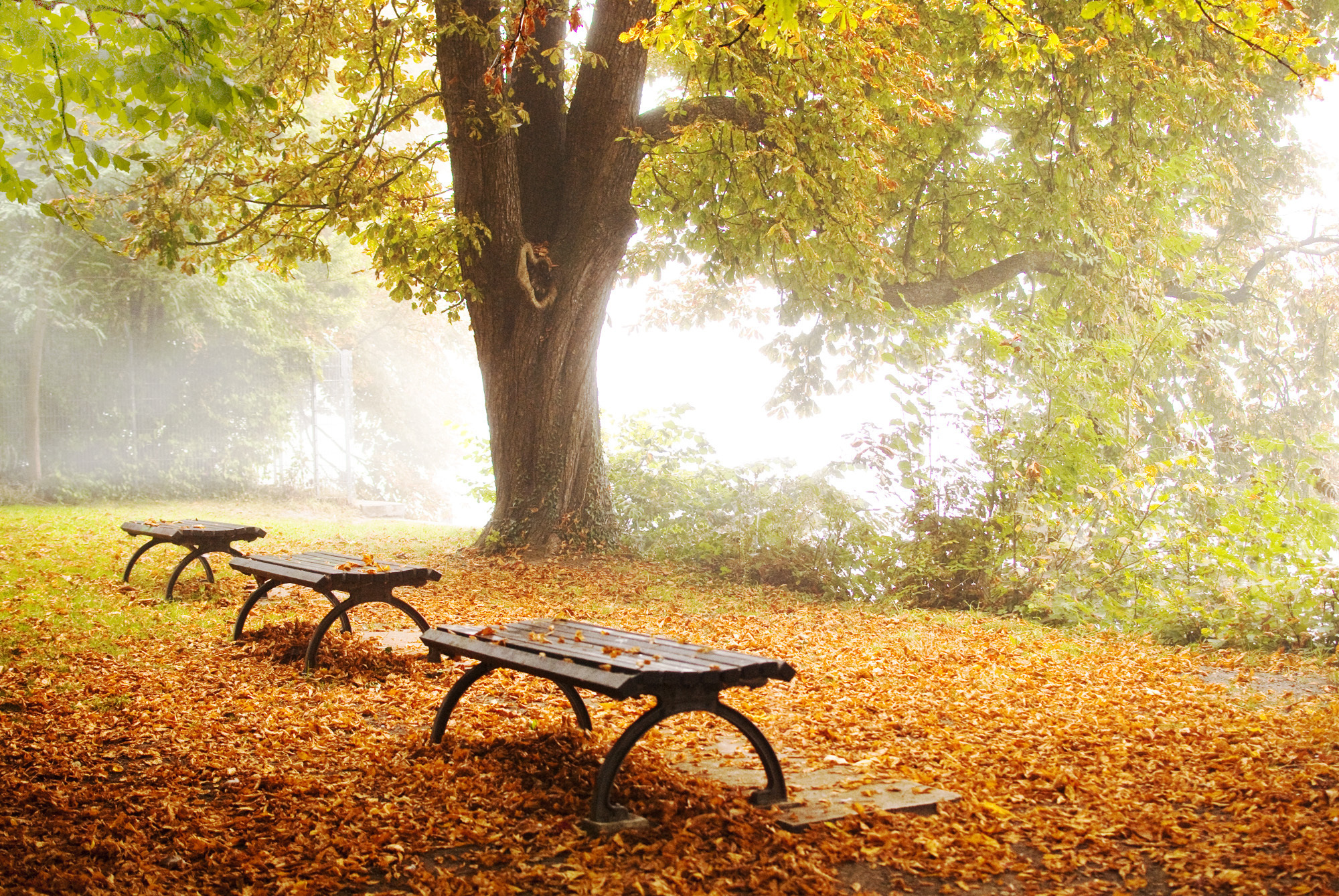 Download mobile wallpaper Bench, Man Made for free.