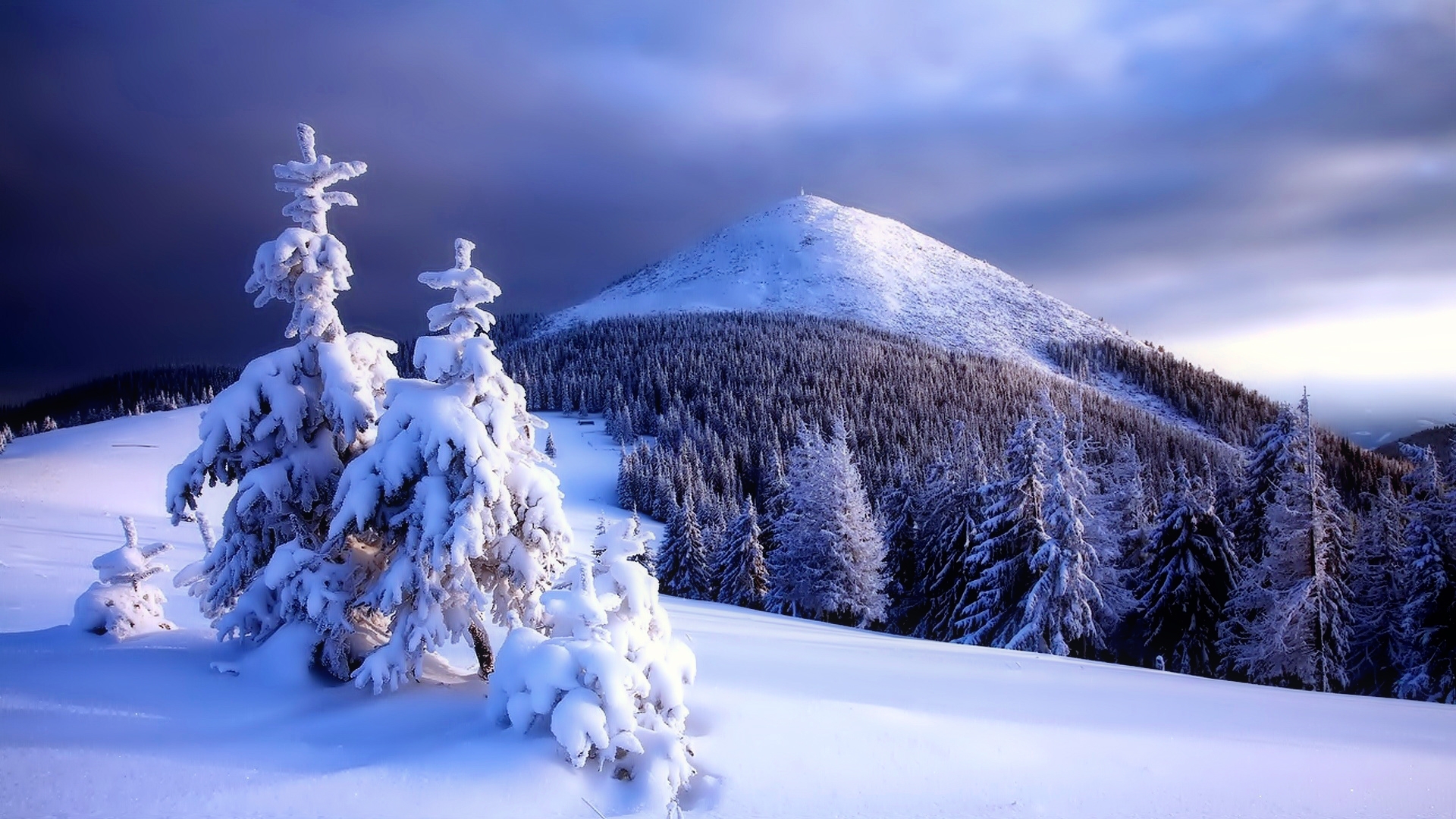 PCデスクトップに冬, 木, 雪, 山, 森, 地球画像を無料でダウンロード