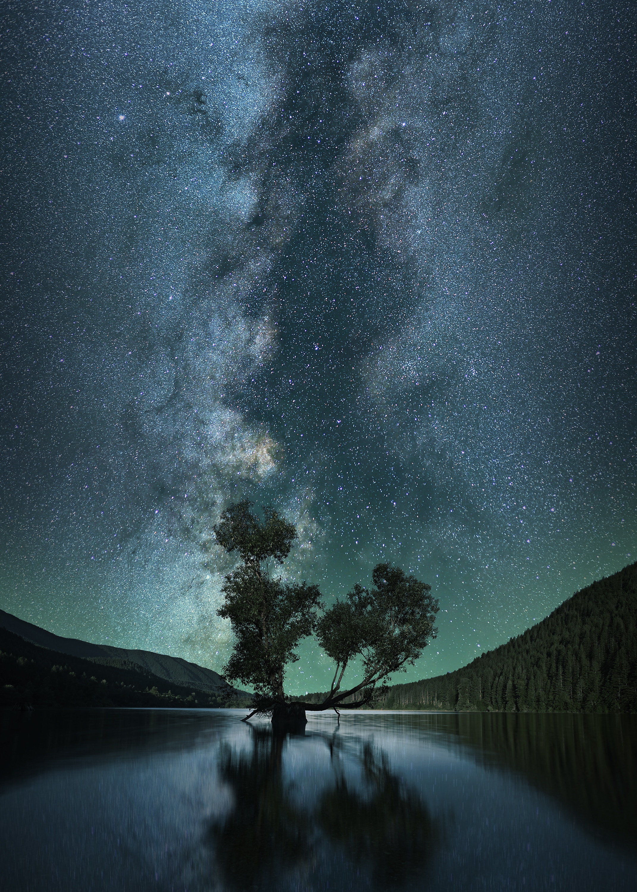 nature, lake, night, wood, tree, starry sky