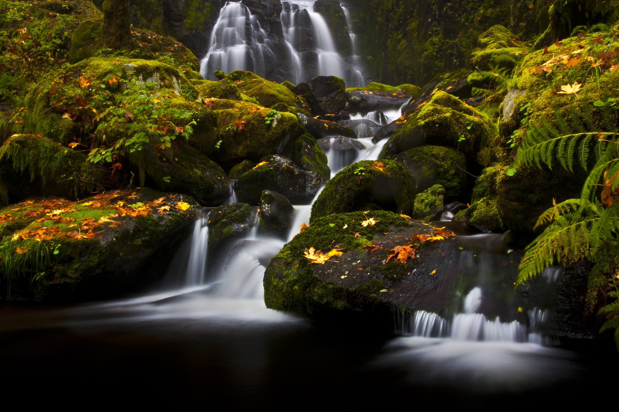 Скачать картинку Осень, Водопады, Водопад, Мох, Земля/природа в телефон бесплатно.