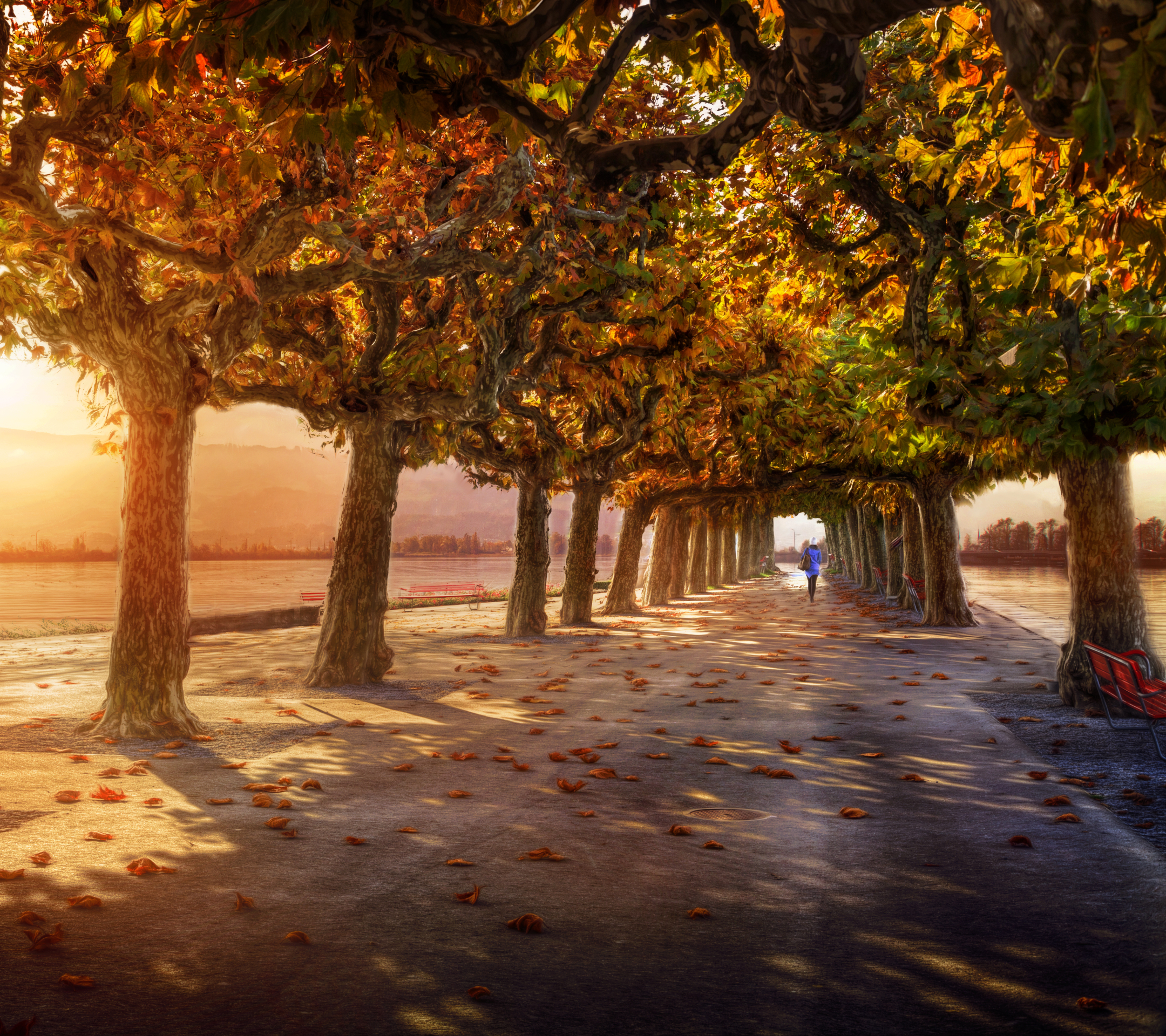 Free download wallpaper Sunset, Tree, Fall, Photography, Sunbeam, Sunshine, Tree Lined, Sunbean on your PC desktop