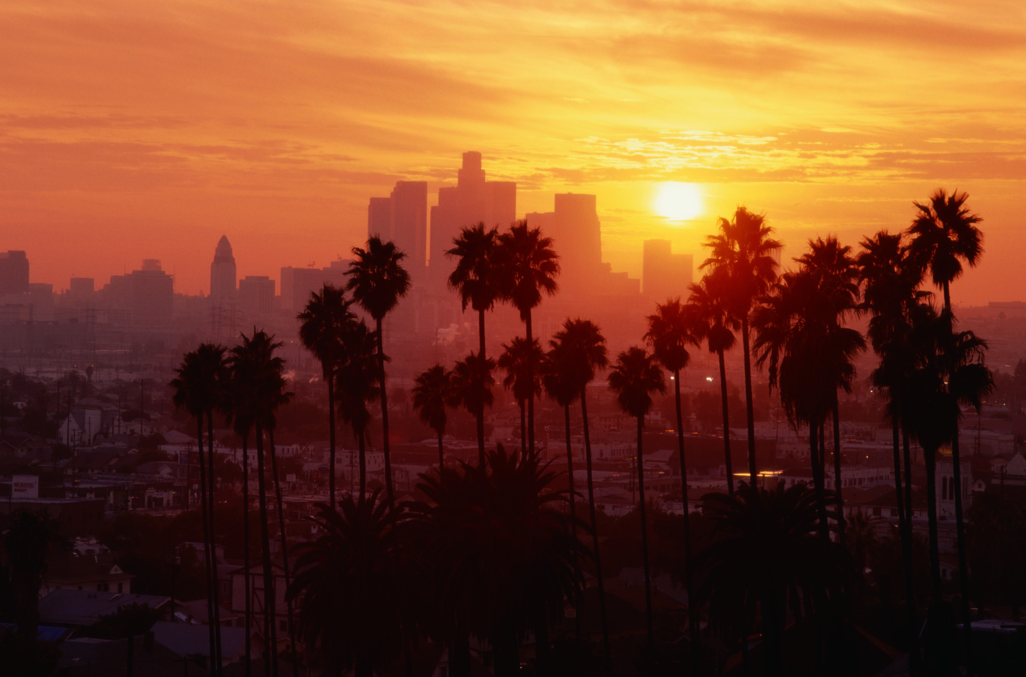 Download mobile wallpaper Landscape, Cities, Palms, Sunset for free.