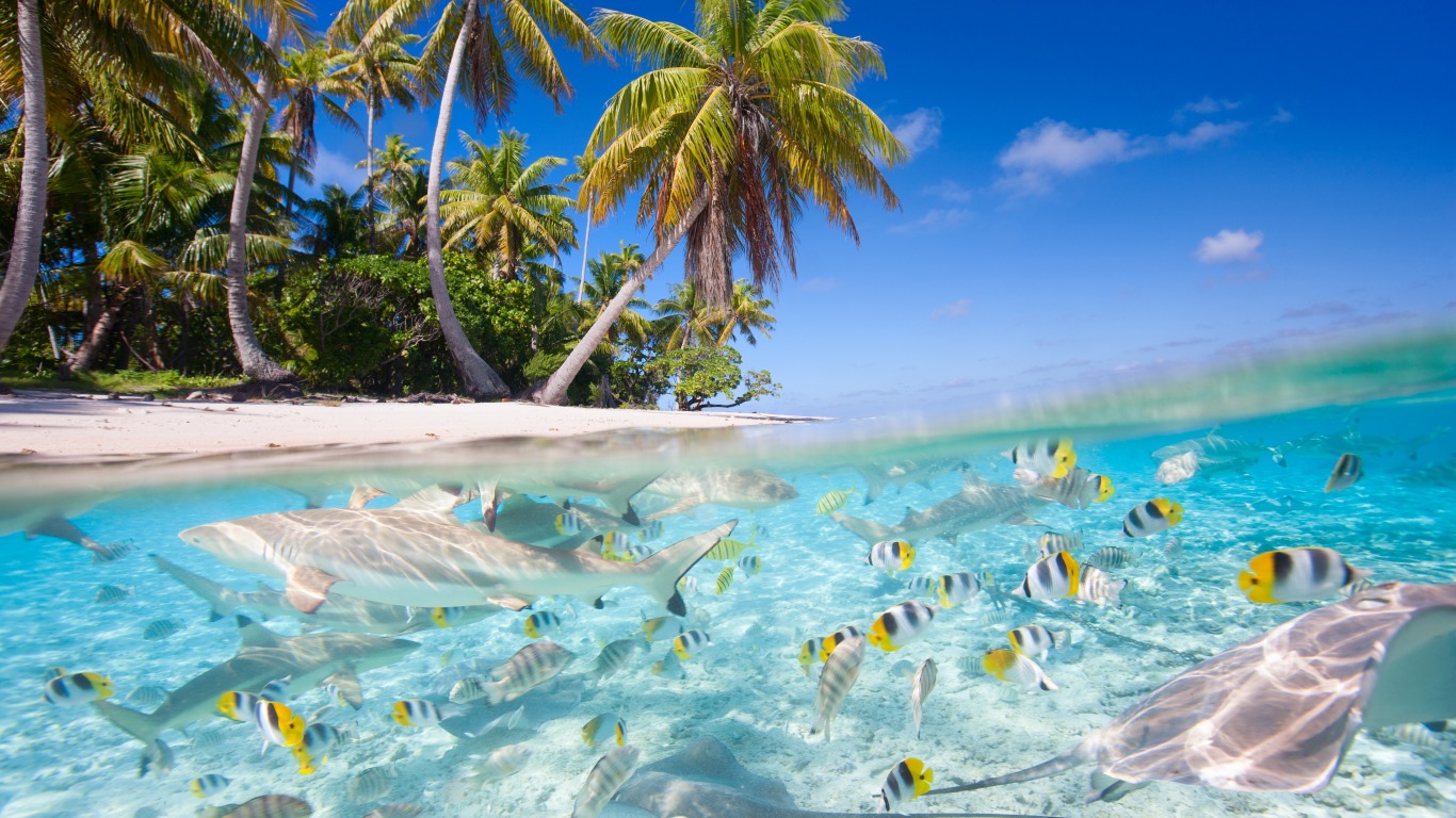 Laden Sie das Ozean, Insel, Fisch, Erde/natur-Bild kostenlos auf Ihren PC-Desktop herunter