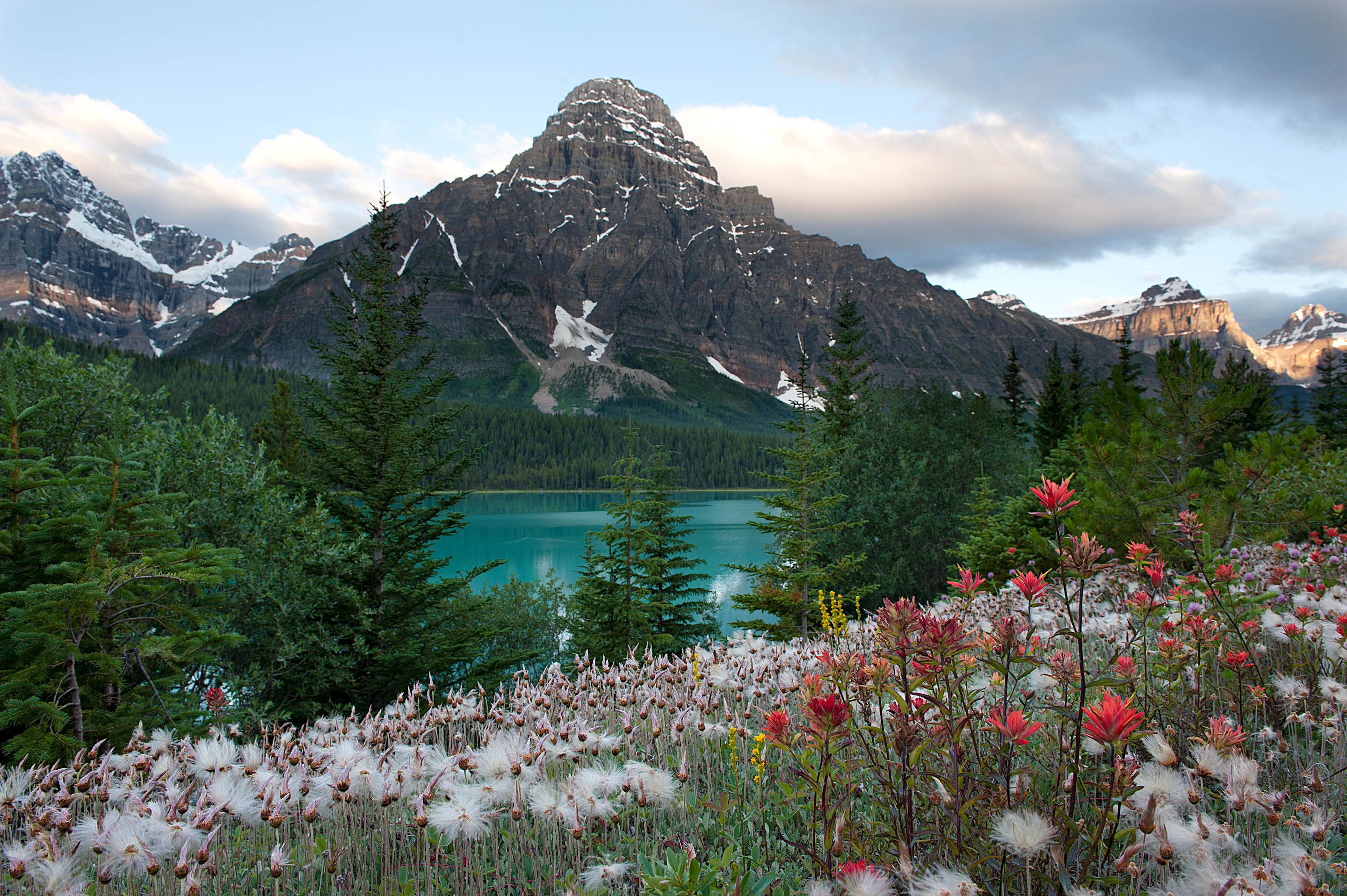 Download mobile wallpaper Landscape, Lakes, Mountain, Lake, Flower, Forest, Tree, Earth, Banff National Park for free.