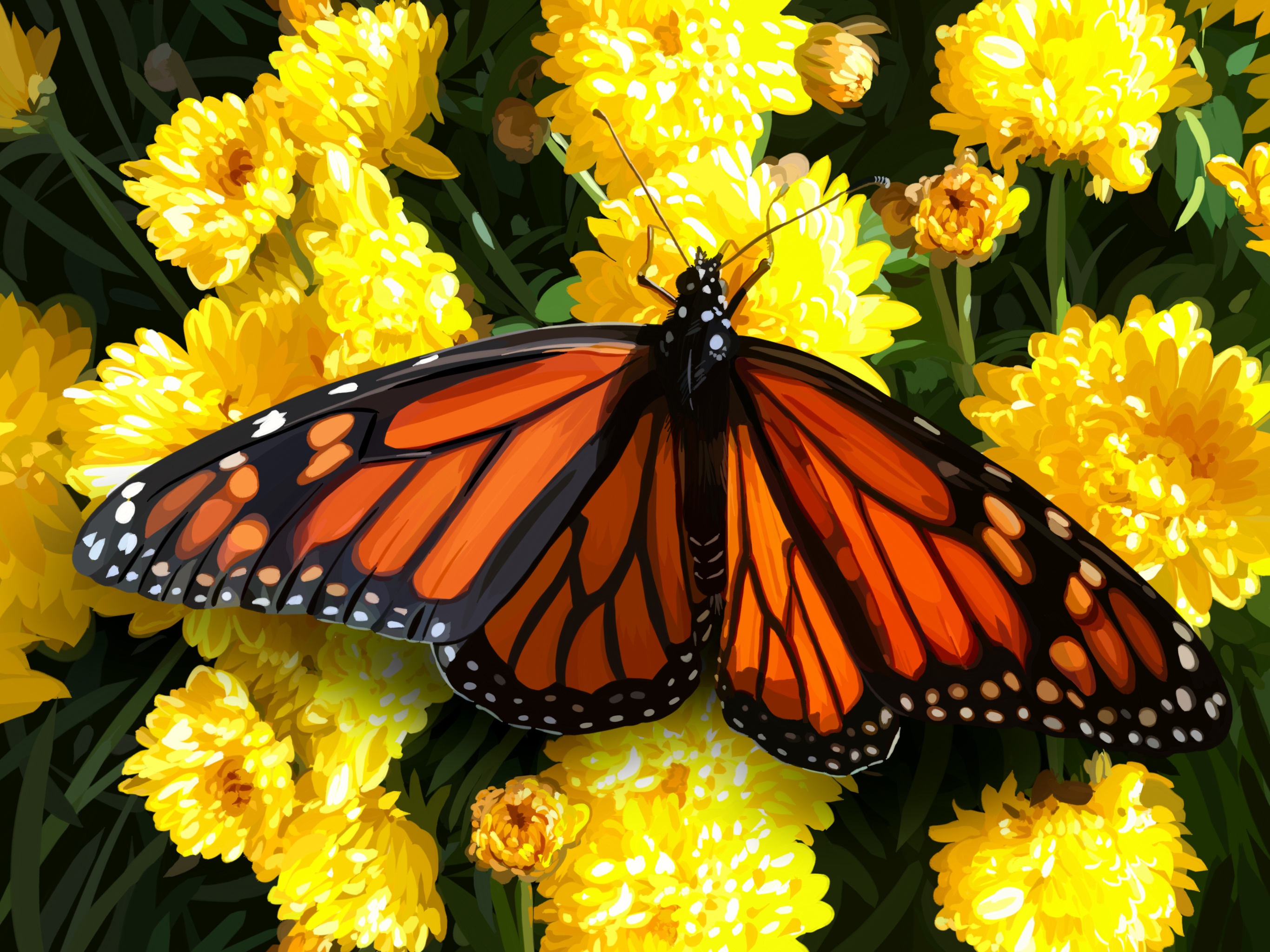 Téléchargez gratuitement l'image Animaux, Fleur, Insecte, Papillon, Fleur Jaune sur le bureau de votre PC