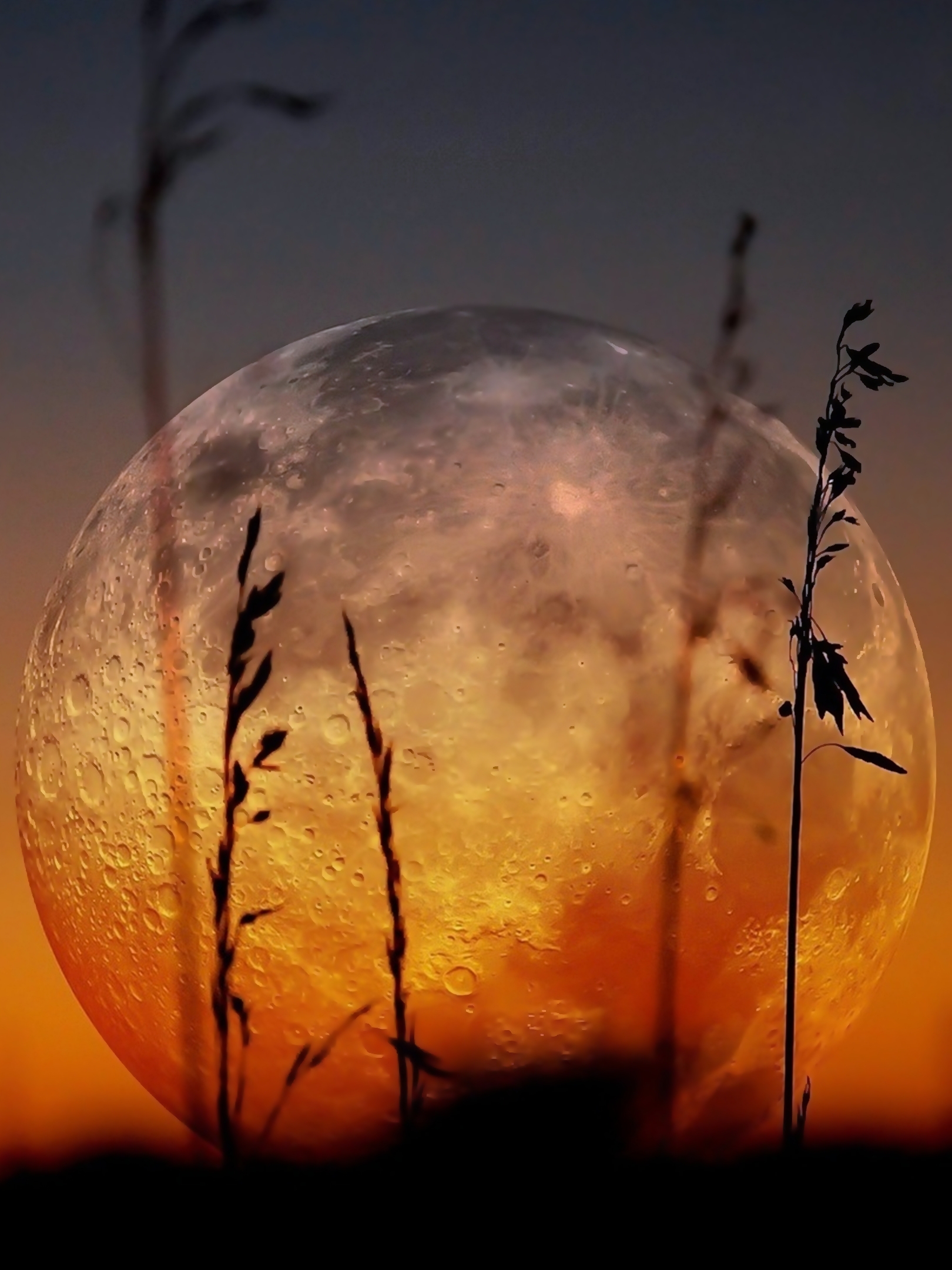 Download mobile wallpaper Nature, Sunset, Moon, Earth for free.