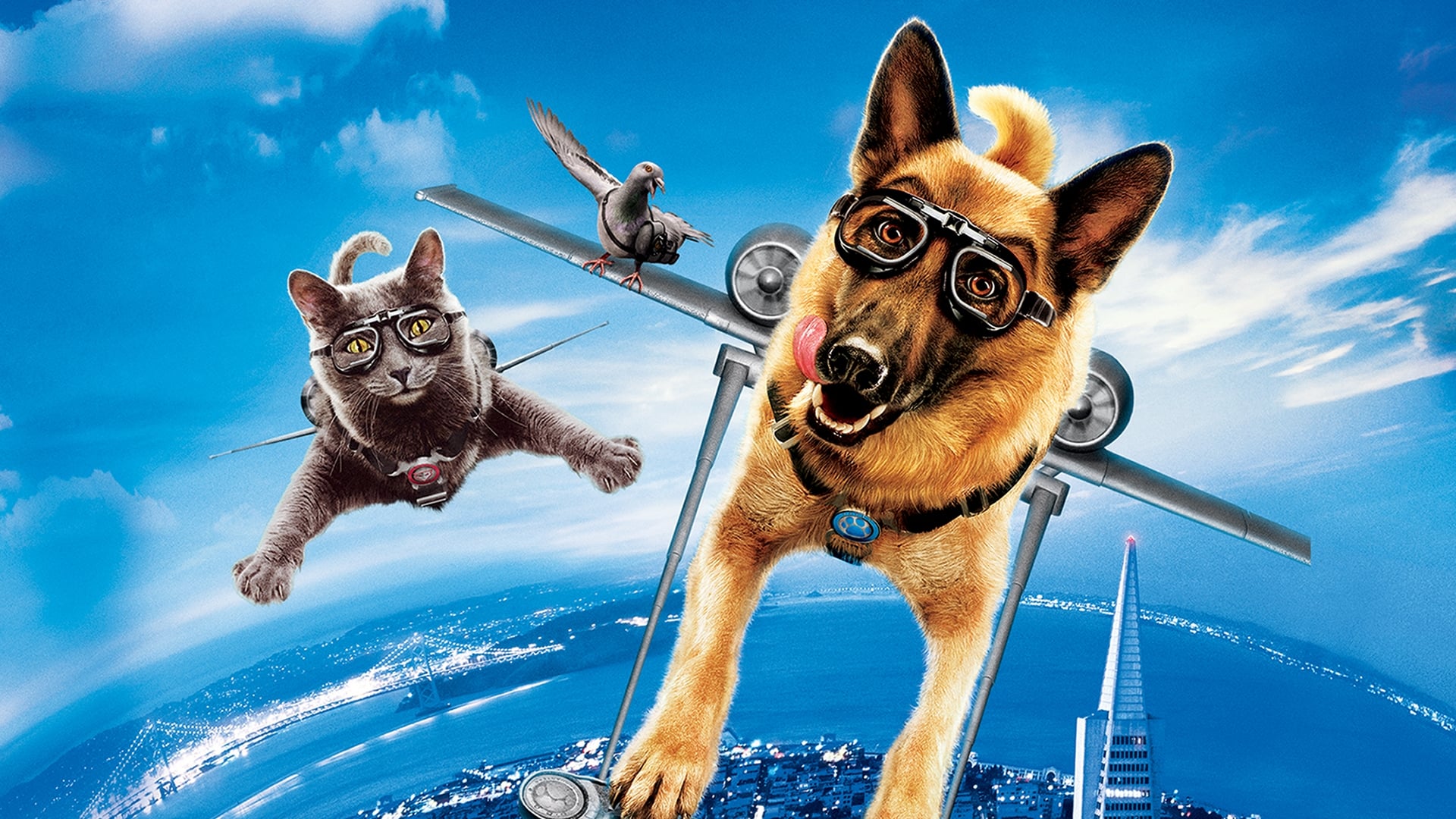 1064355 завантажити картинку фільм, кішки проти собак: помста кітті ґалор, кішка, пес - шпалери і заставки безкоштовно