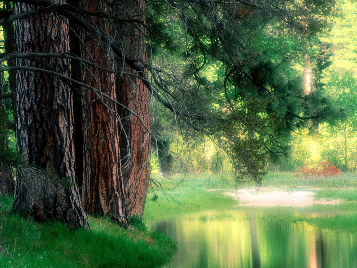 Free download wallpaper Trees, Lakes, Landscape on your PC desktop