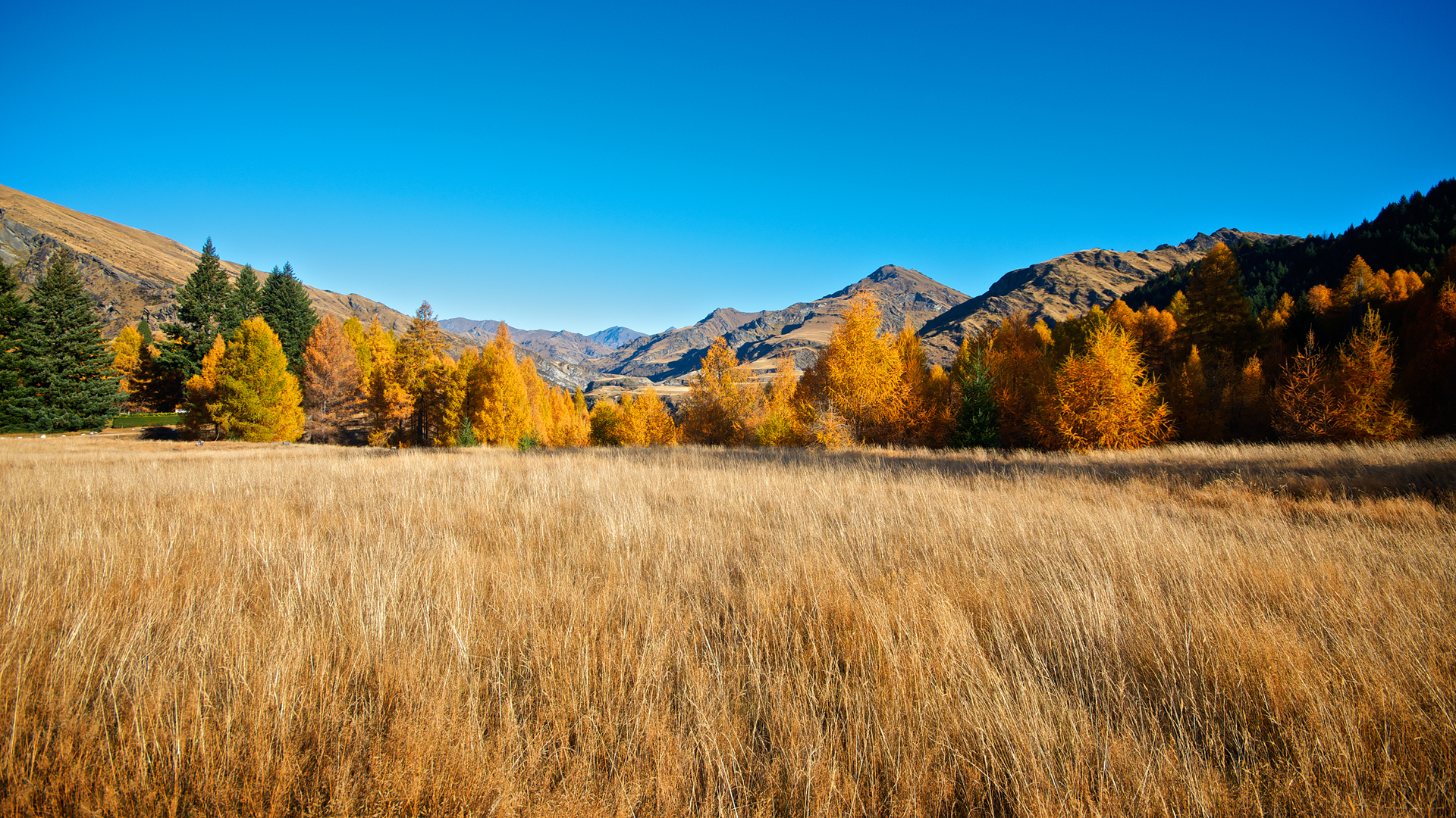 Handy-Wallpaper Landschaft, Erde/natur kostenlos herunterladen.