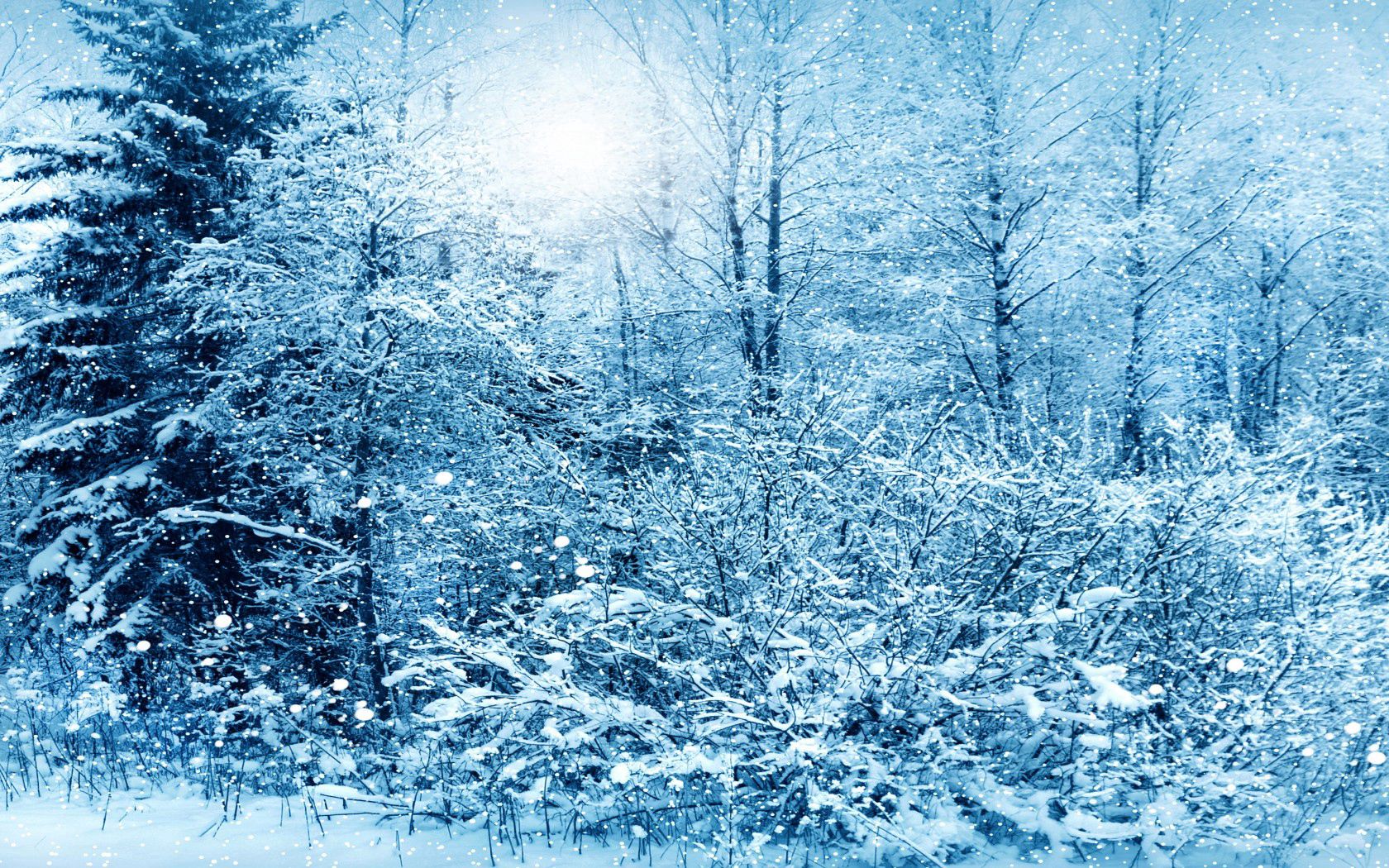 Free download wallpaper Winter, Nature, Trees, Snow on your PC desktop
