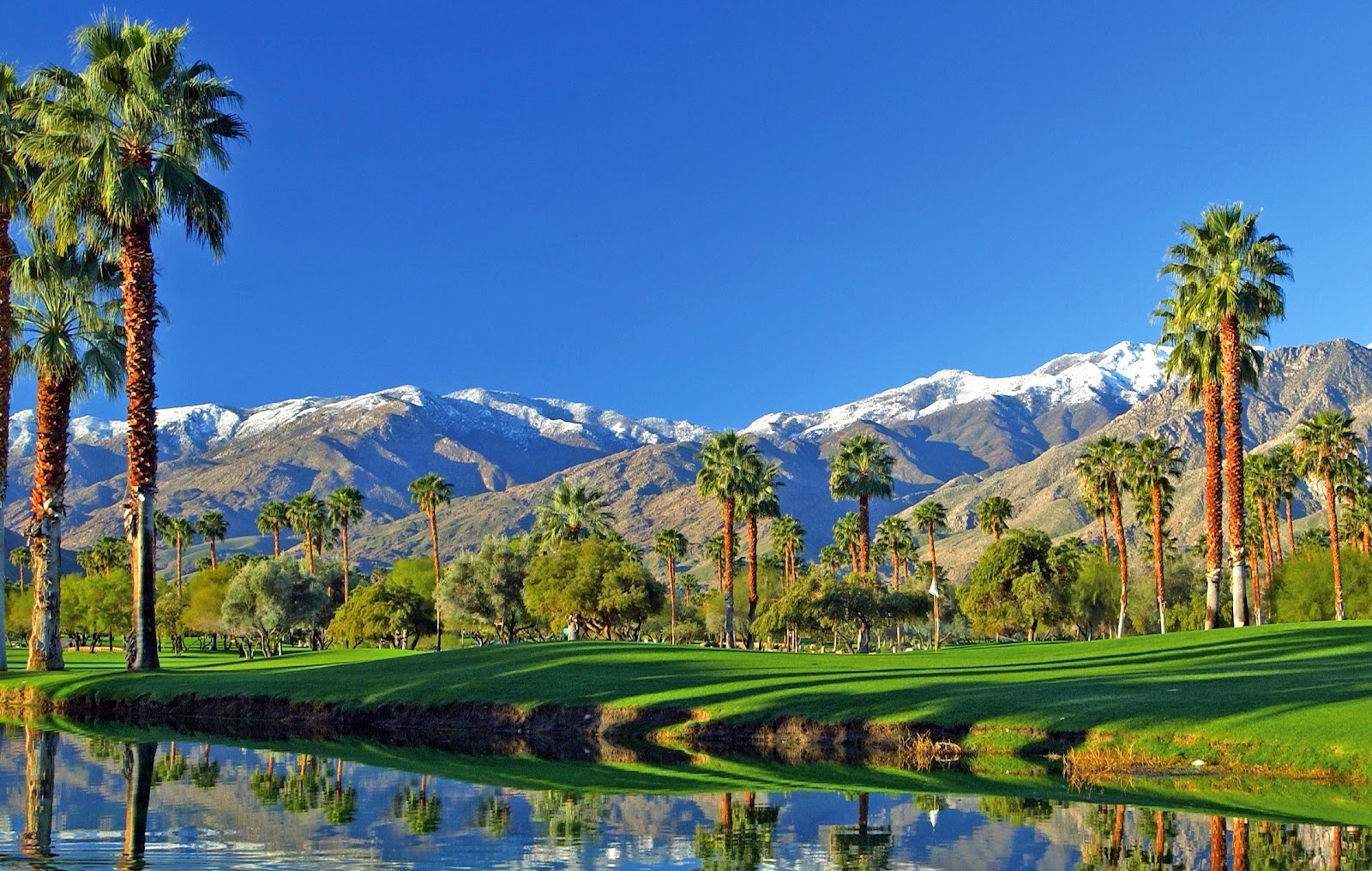 Best Palm Springs Desktop Backgrounds