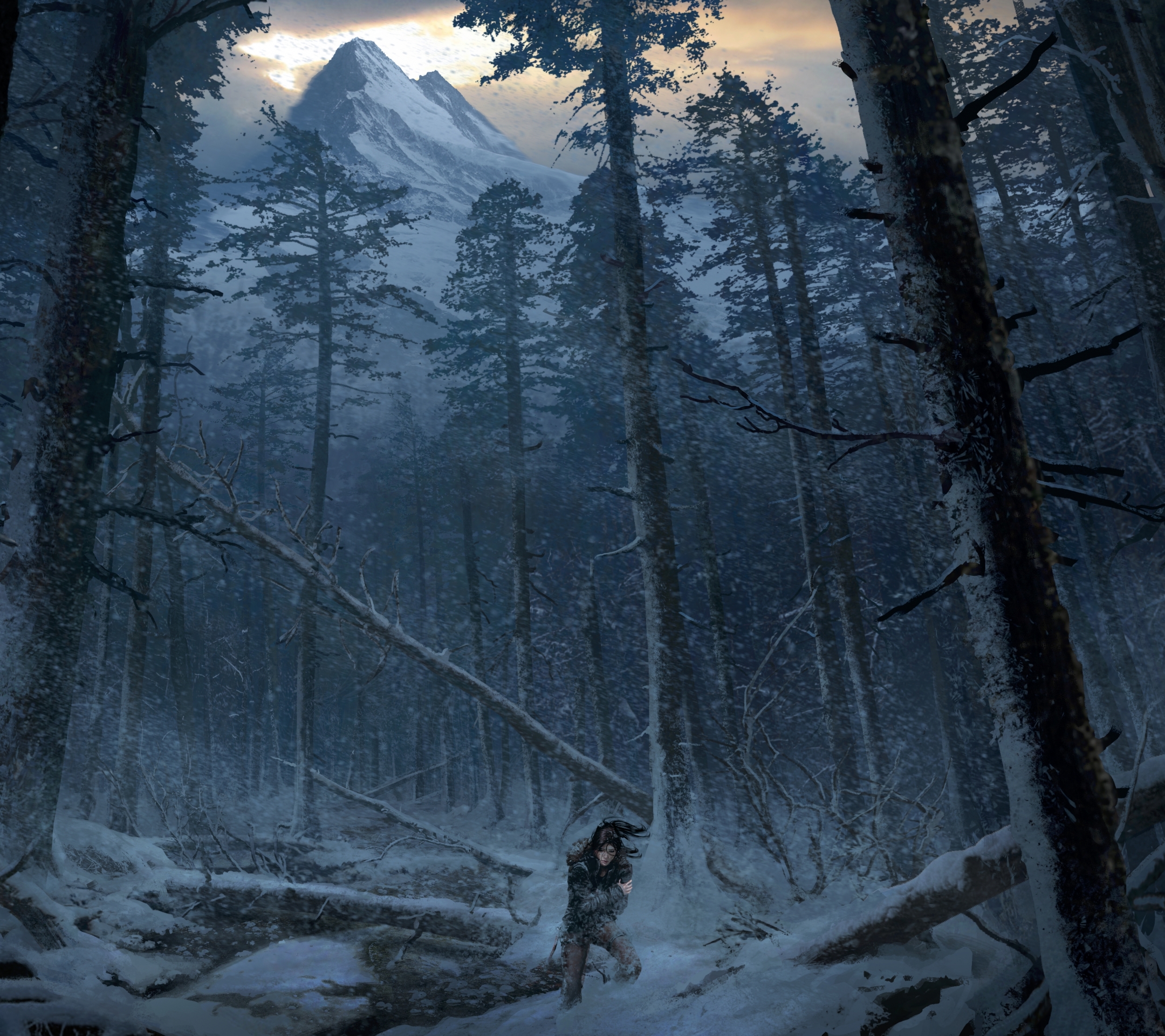 Laden Sie das Tomb Raider, Wald, Computerspiele, Lara Croft, Rise Of The Tomb Raider-Bild kostenlos auf Ihren PC-Desktop herunter
