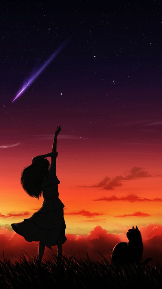 Download mobile wallpaper Anime, Sunset, Sky, Silhouette, Cat, Original for free.