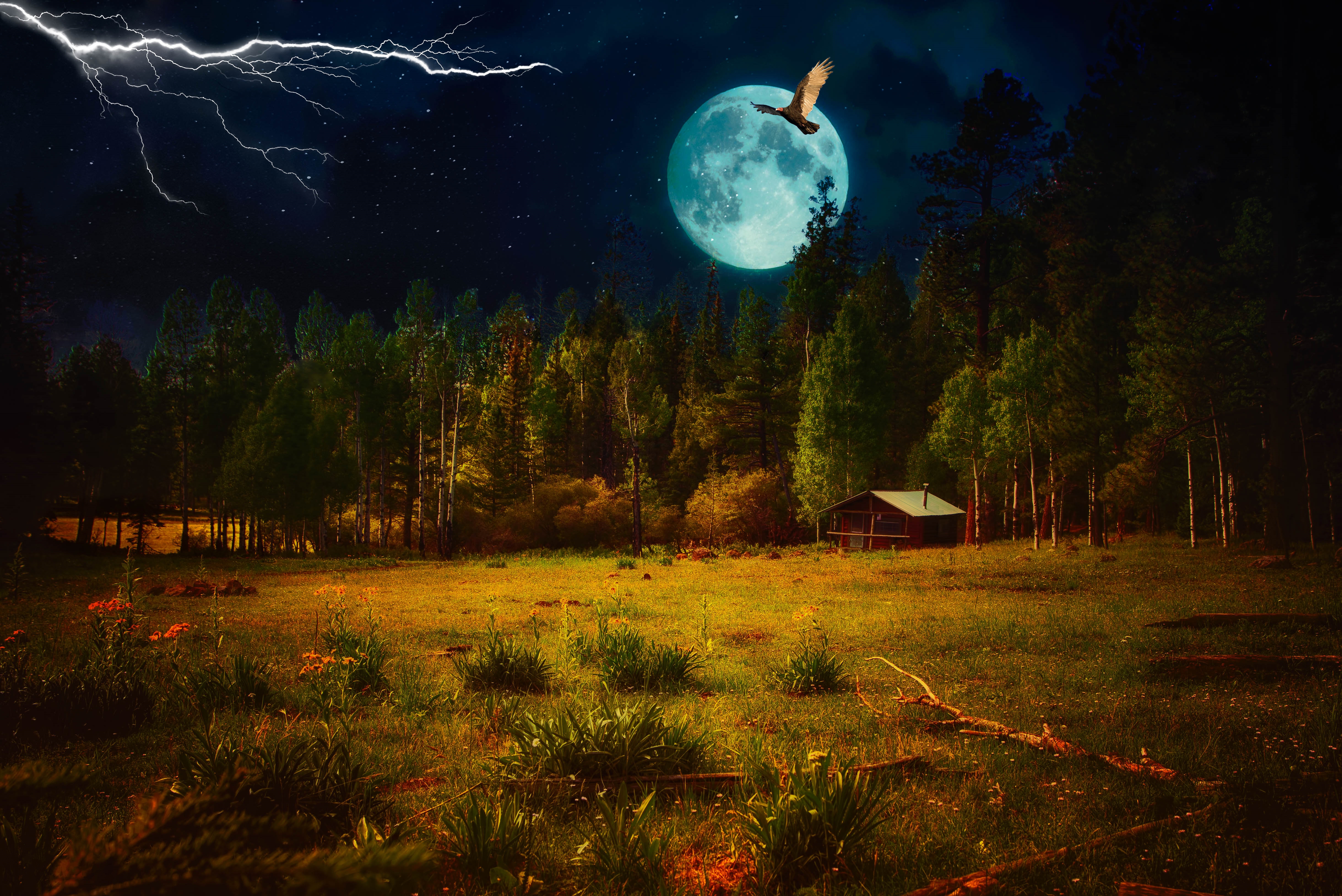 Download mobile wallpaper Landscape, Fantasy, Night, Moon, Lightning, Bird, Artistic, Cabin for free.