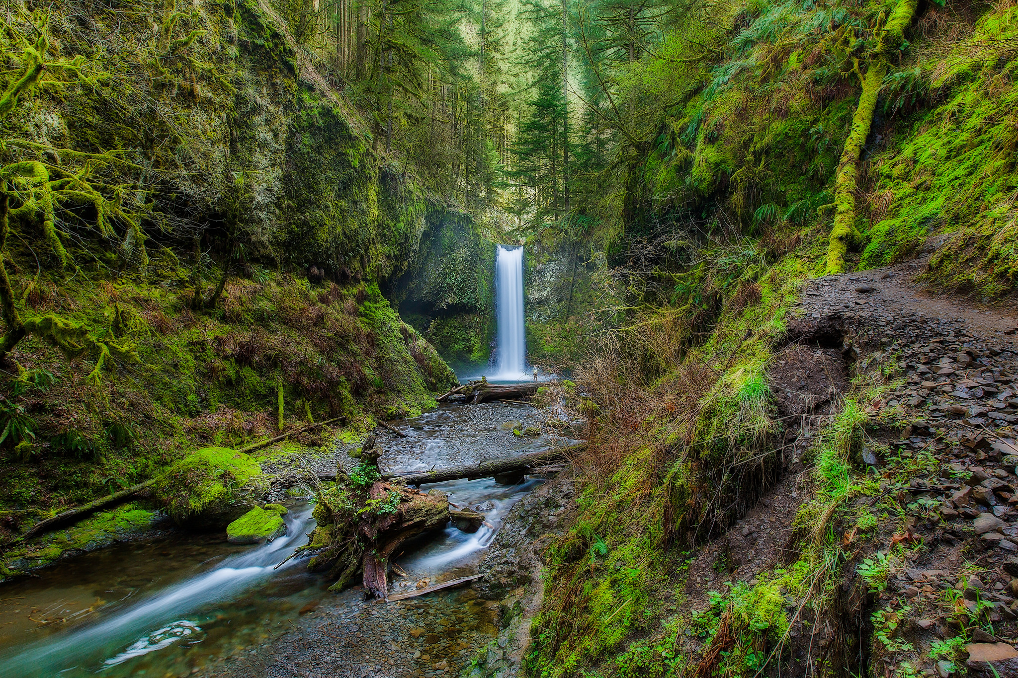 Téléchargez gratuitement l'image Cascades, Forêt, Arbre, Terre/nature, Chûte D'eau sur le bureau de votre PC