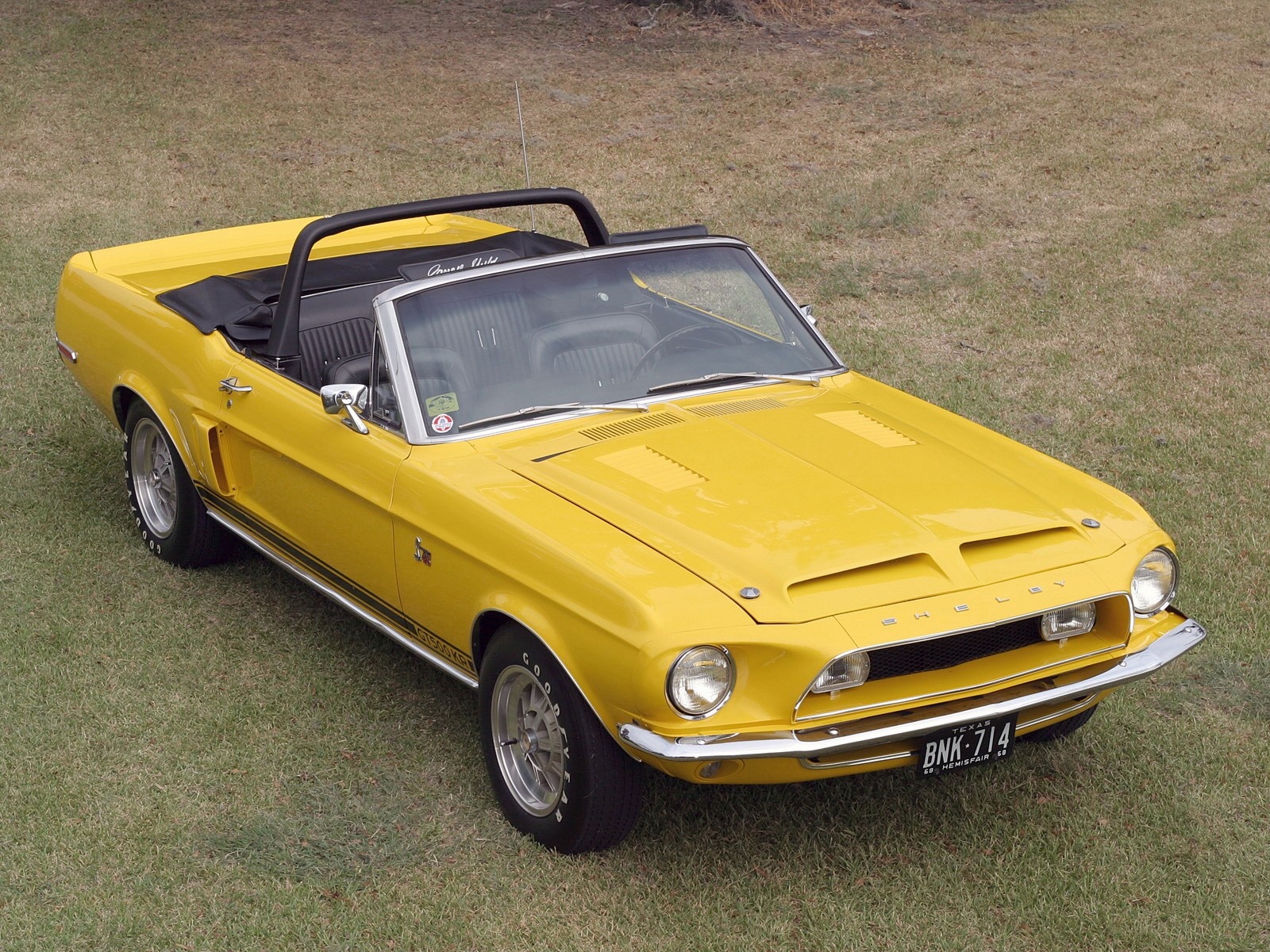 vehicles, convertible, muscle car, yellow car, shelby cobra gt500 king of the road