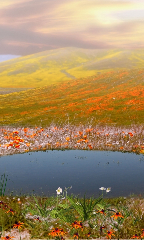 Handy-Wallpaper Landschaft, Erde/natur kostenlos herunterladen.