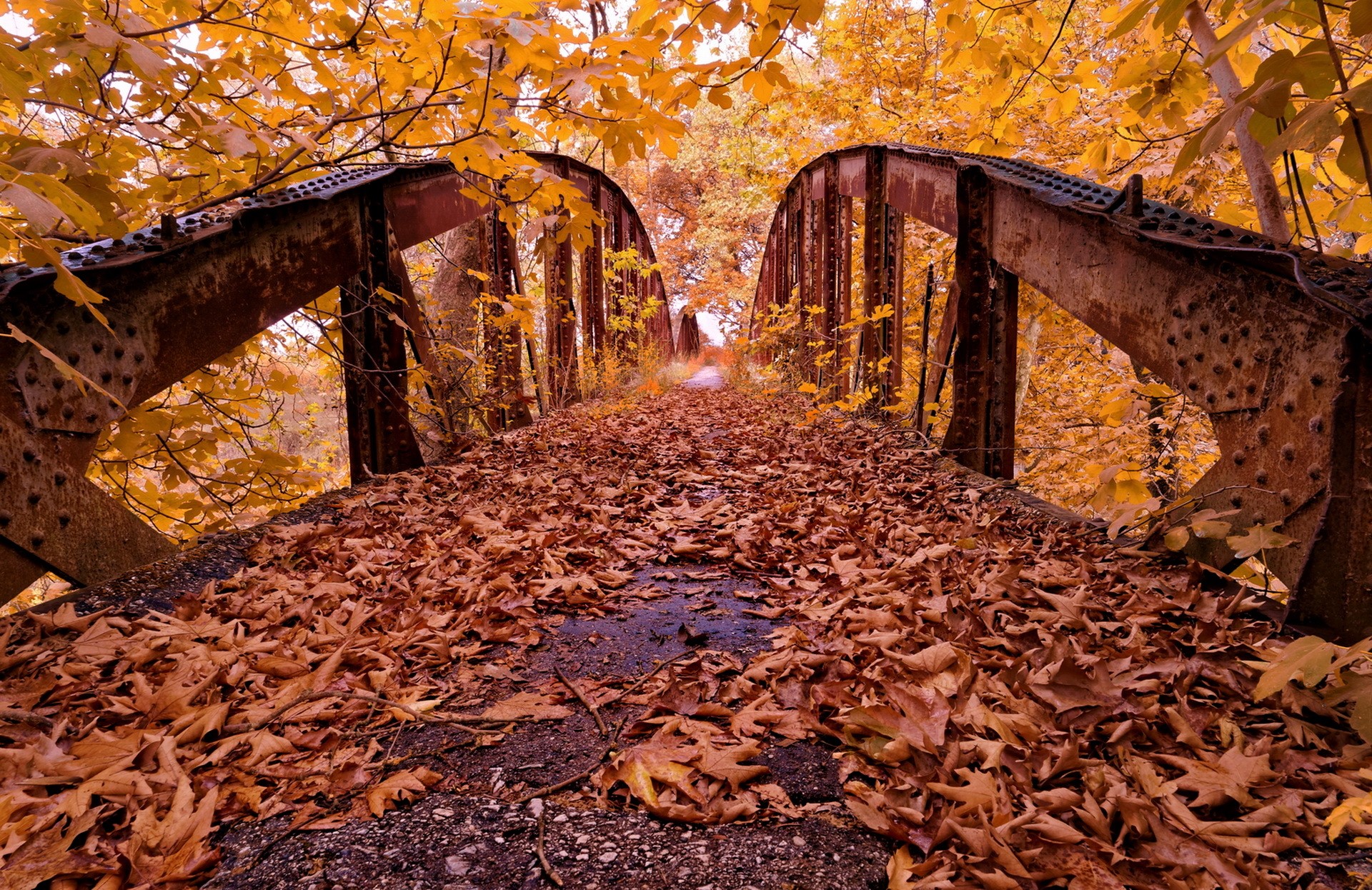Laden Sie das Herbst, Blatt, Brücke, Rost, Brücken, Menschengemacht-Bild kostenlos auf Ihren PC-Desktop herunter