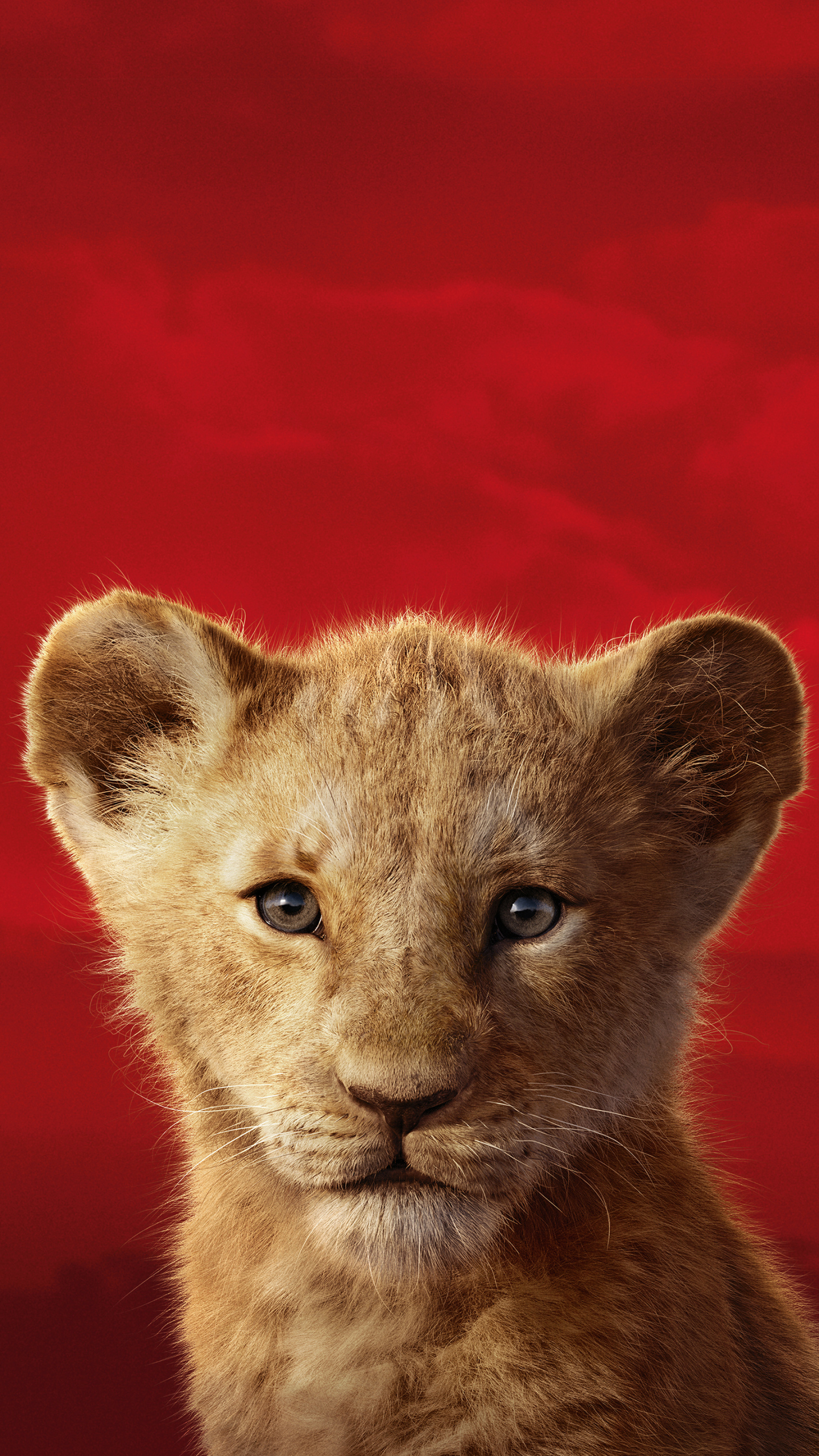 Download mobile wallpaper Movie, Simba, The Lion King (2019) for free.