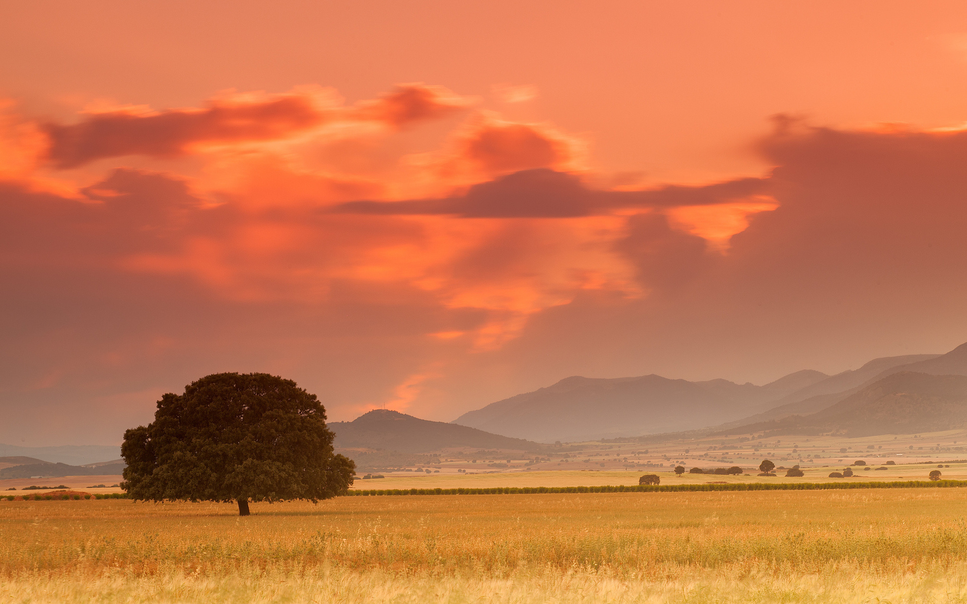 Descarga gratis la imagen Paisaje, Tierra/naturaleza en el escritorio de tu PC