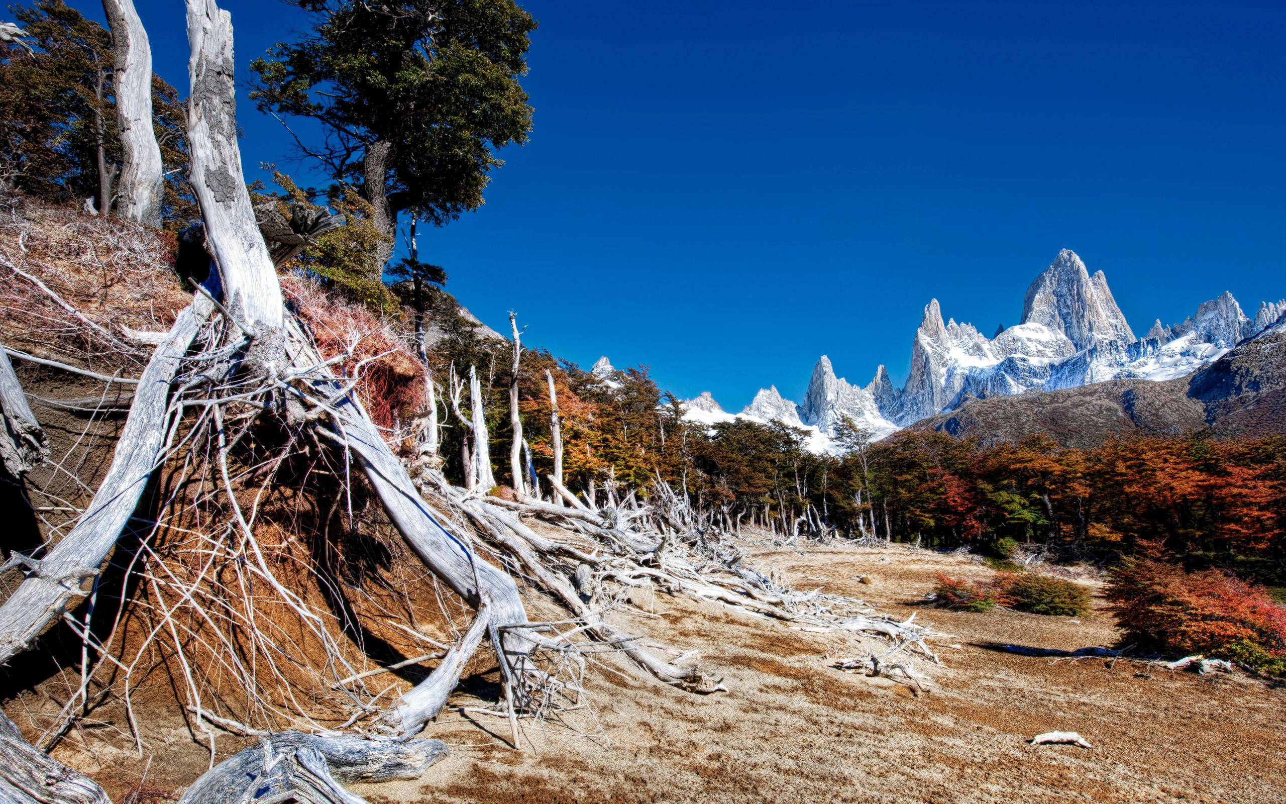 Téléchargez gratuitement l'image Paysage, Terre/nature sur le bureau de votre PC